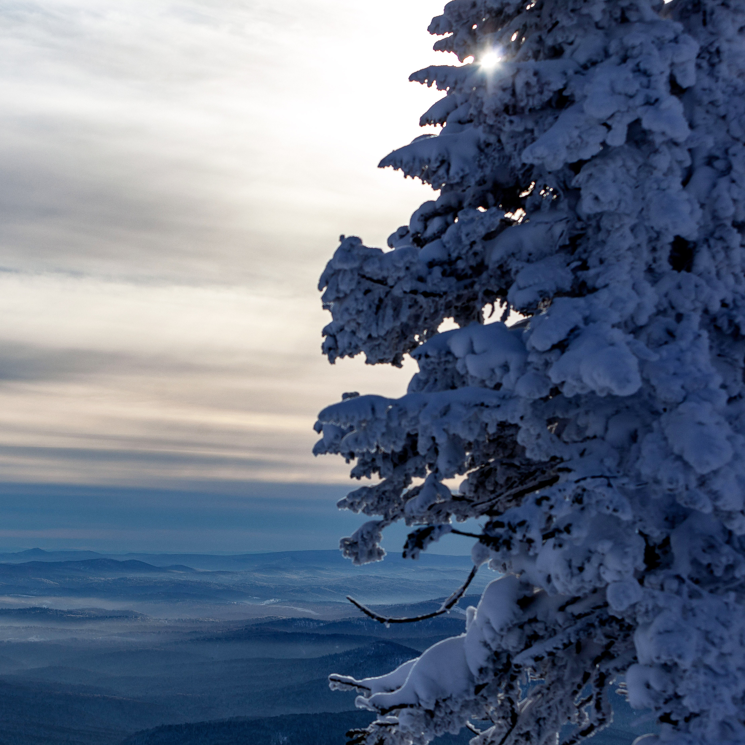 Репортажный фотограф в Новосибирске