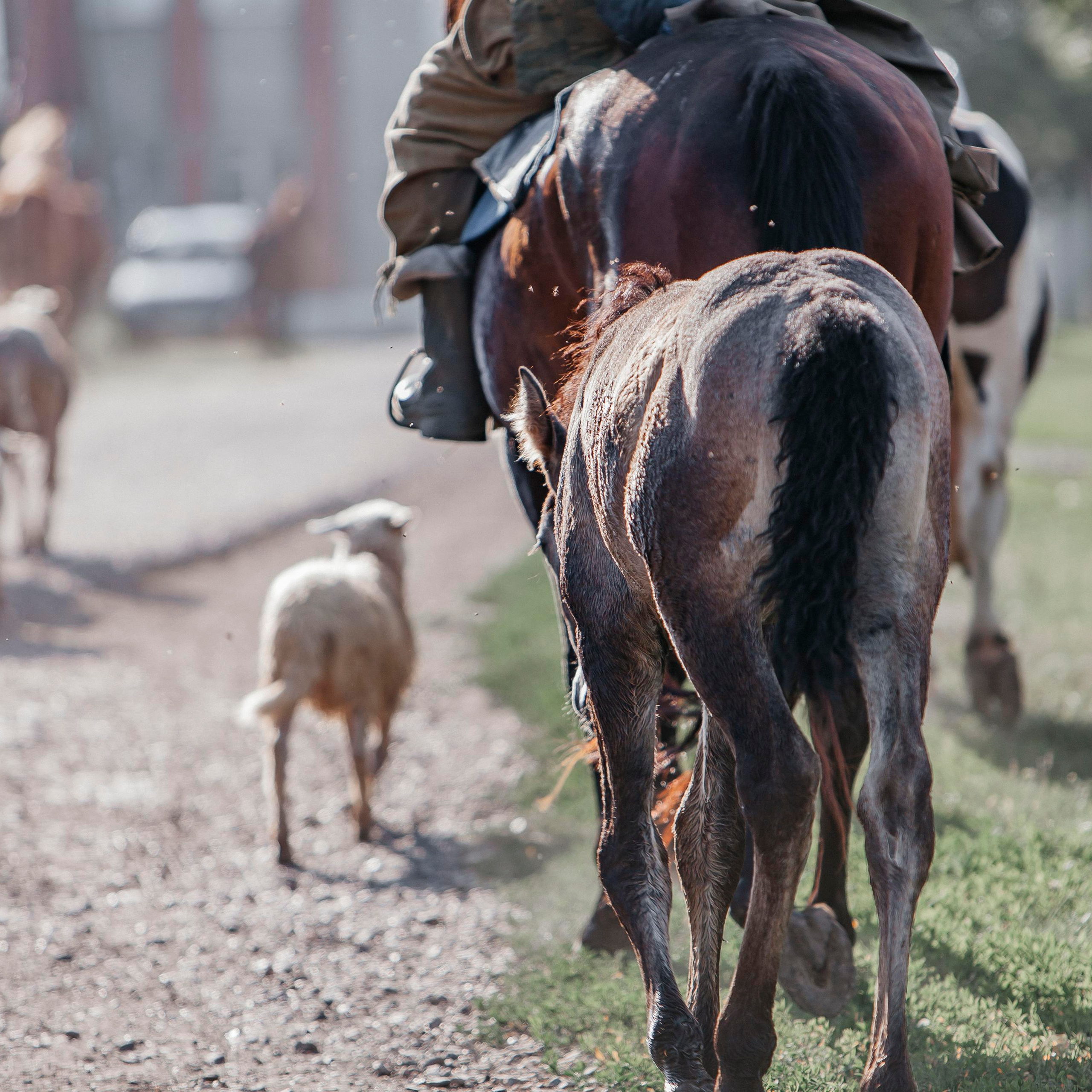 Репортажный фотограф в Новосибирске