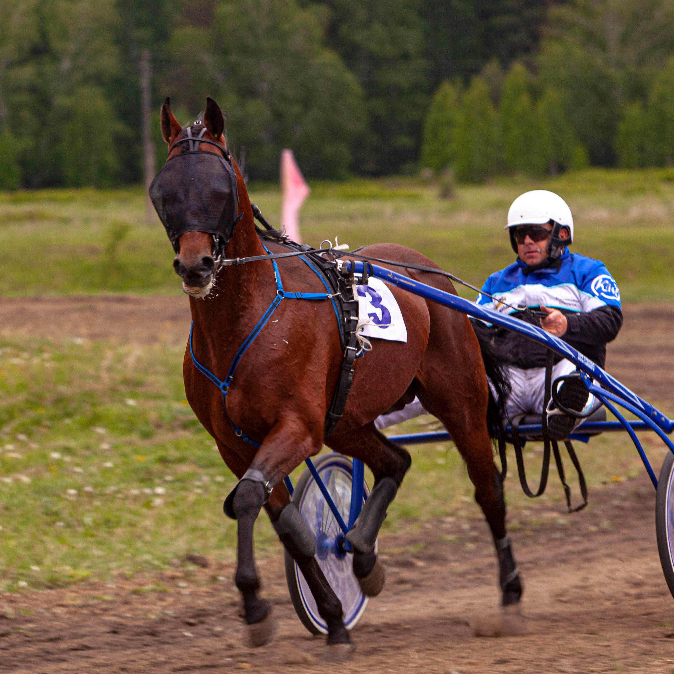 Репортажный фотограф в Новосибирске