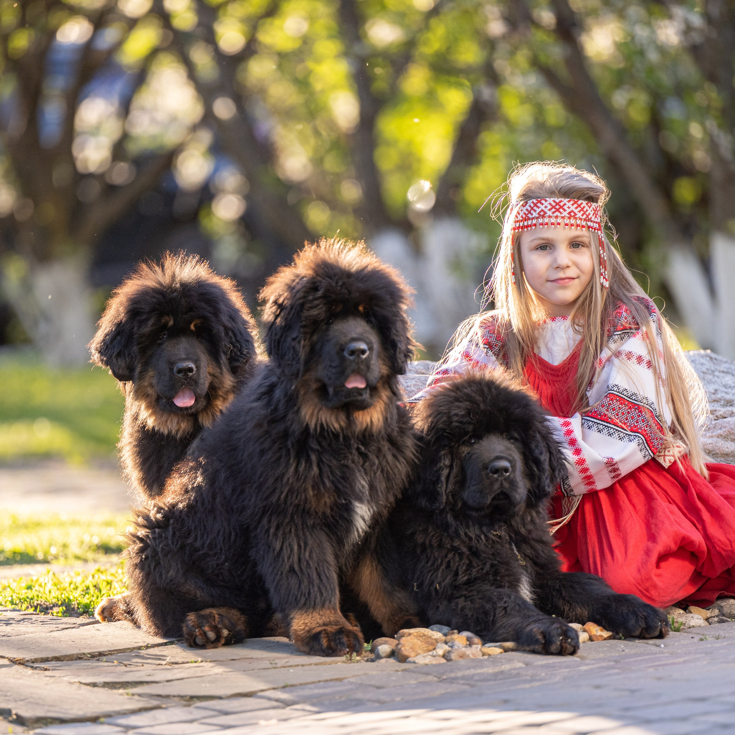 Маша и три медведя 18 мая 2024