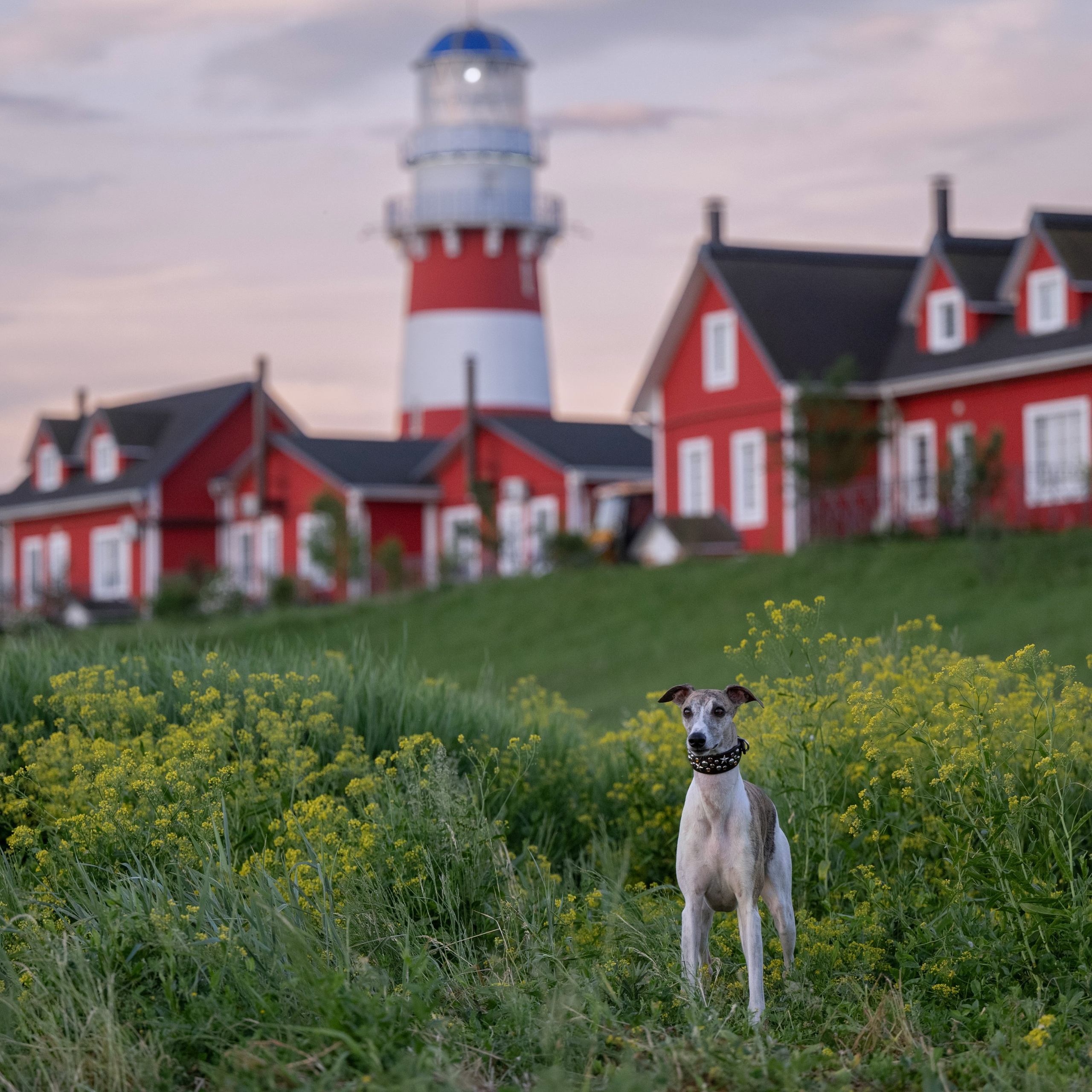 Рыбацкая деревня и Маяк 6 июня 2024