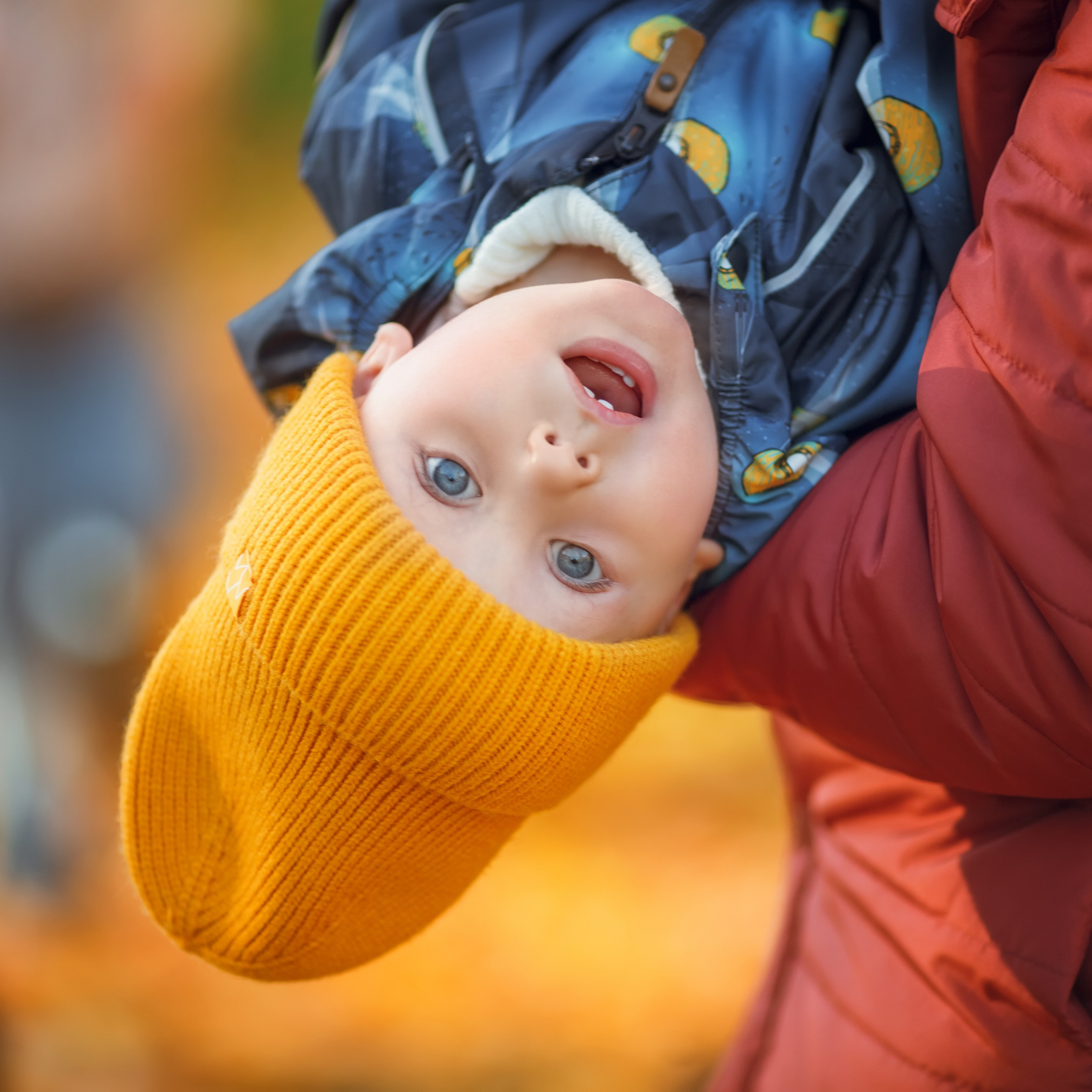 Воронцовский парк