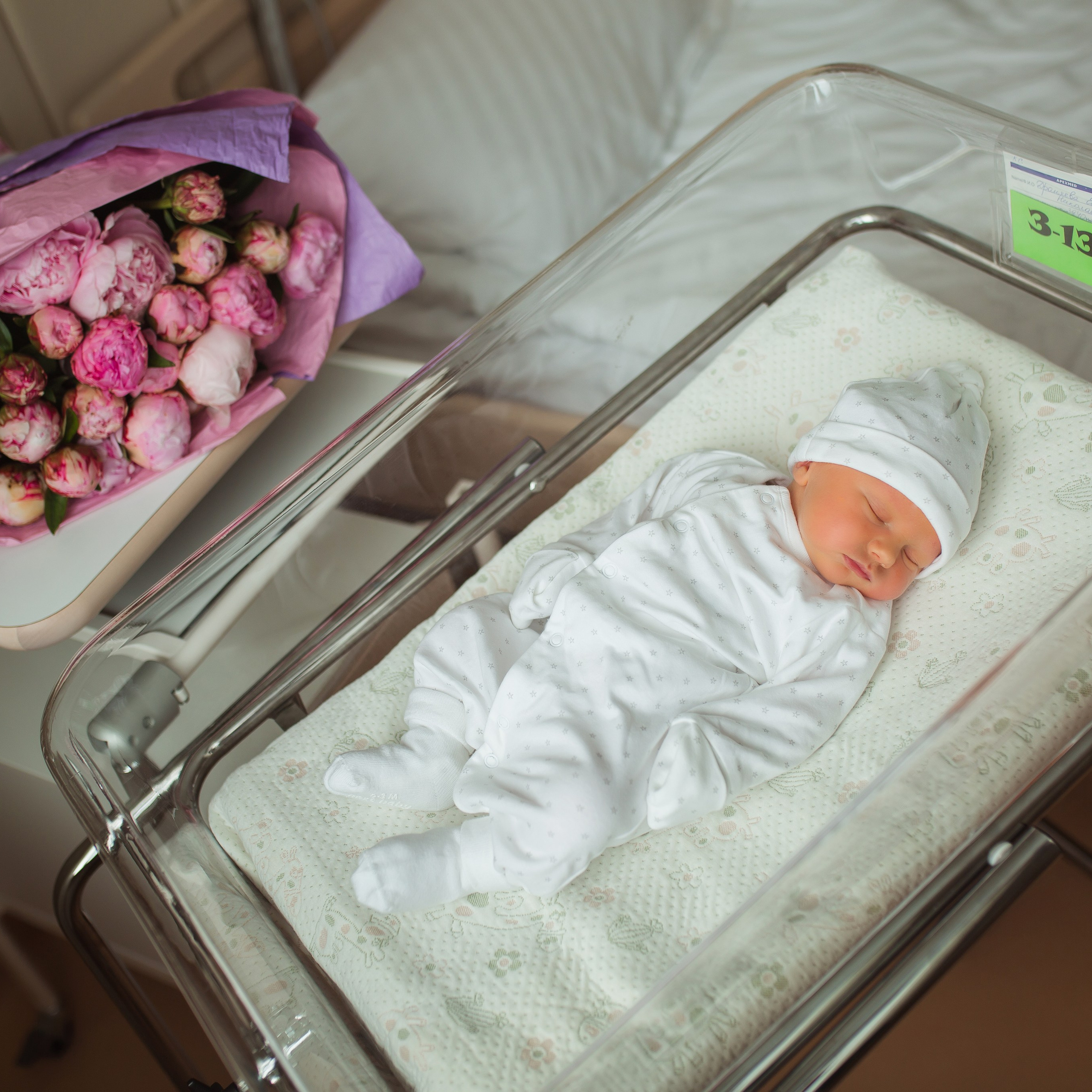 Выписка Льва