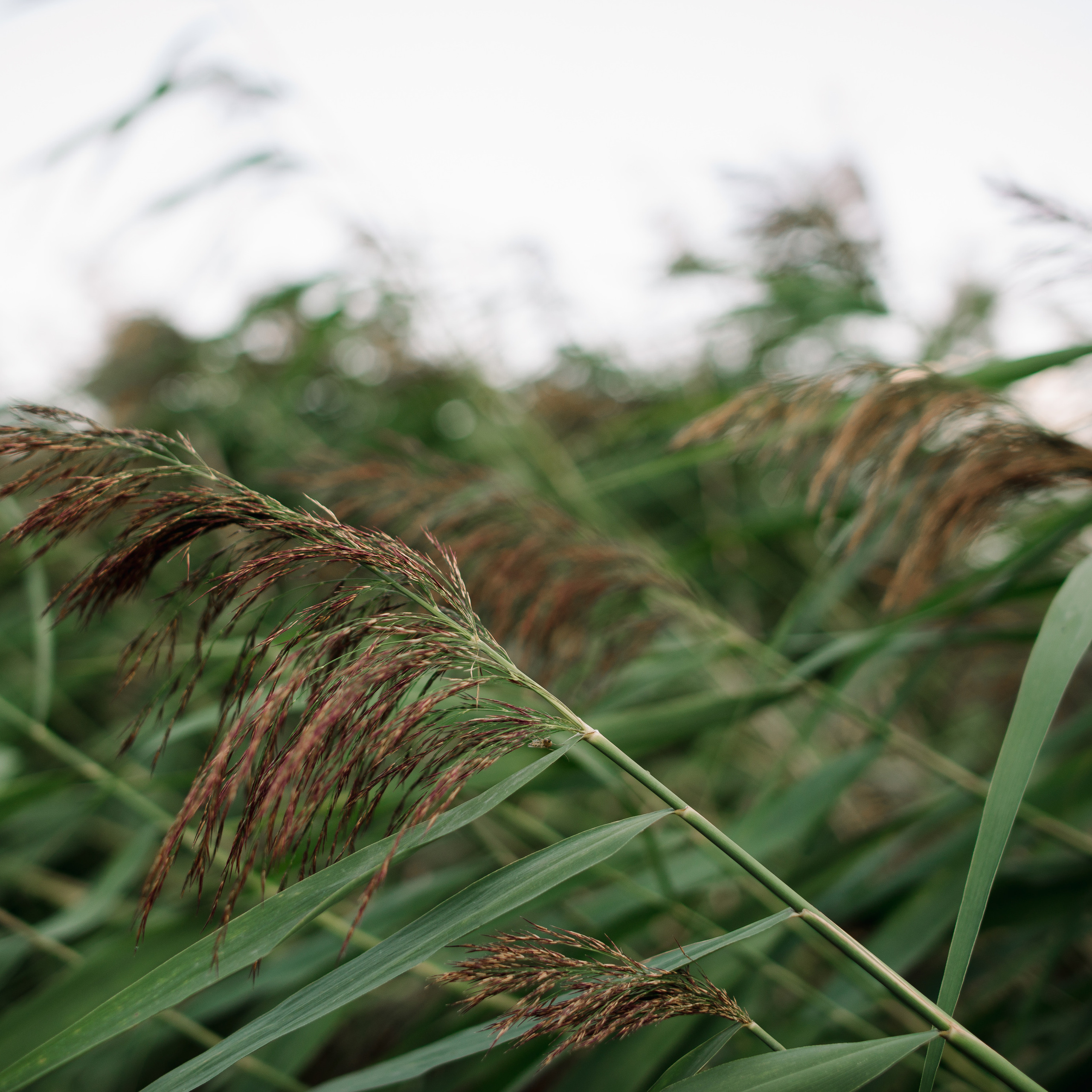 Отзывы. Фотограф Казань
