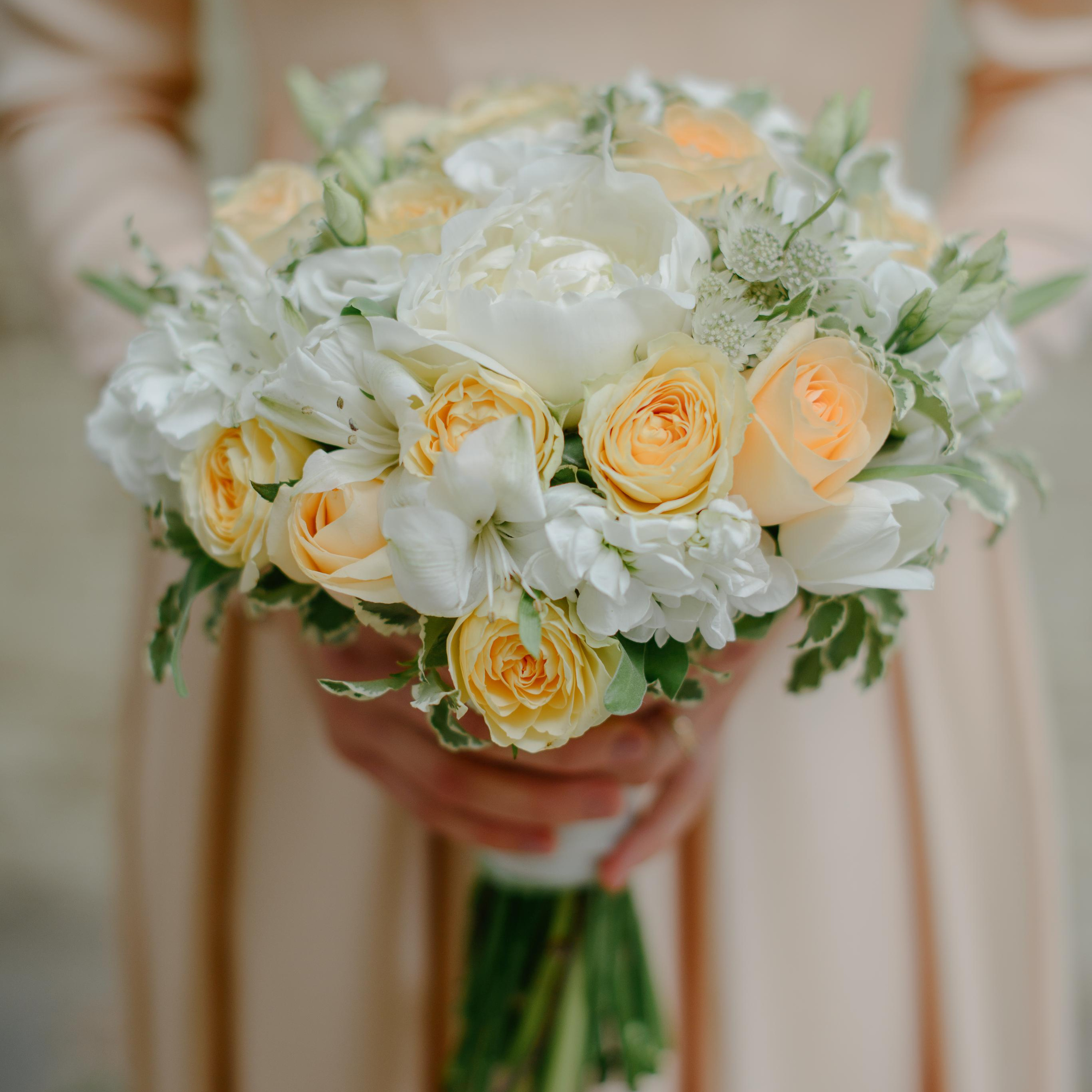 Фаниль и Алсу