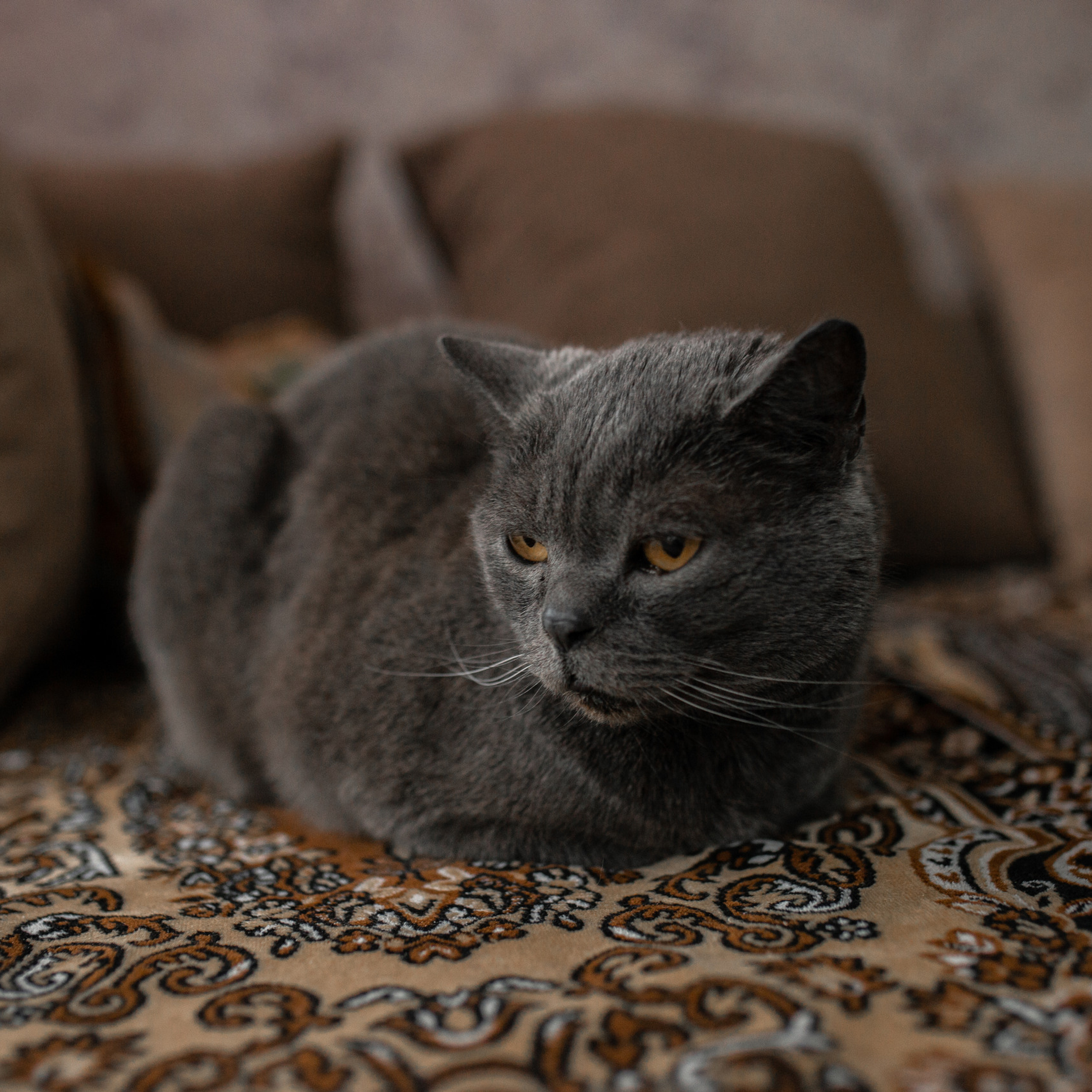 Отзывы. Домашний и семейный фотограф, Крещение и Венчание Тверь Калинина Юлия