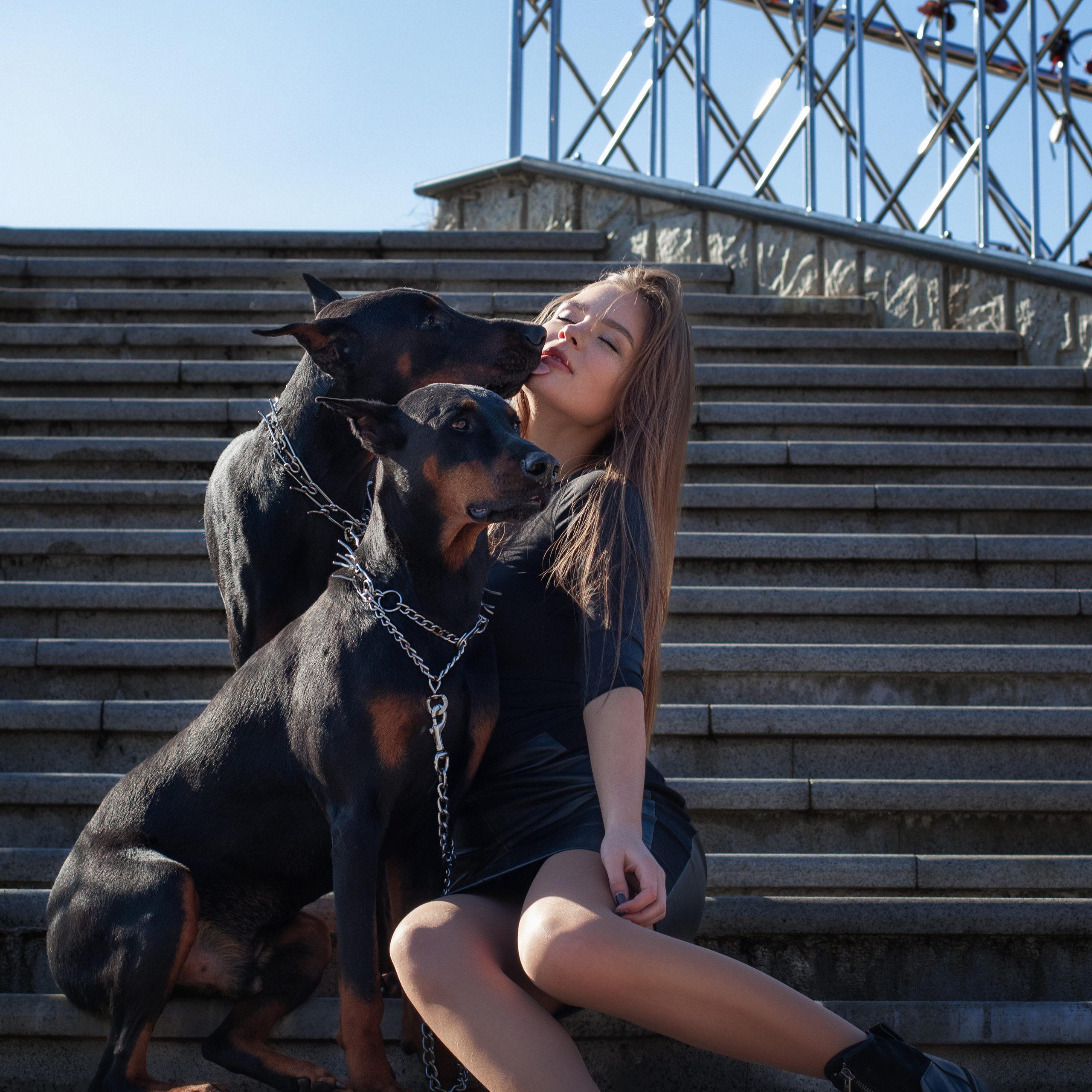 Прогулка с Доберманом