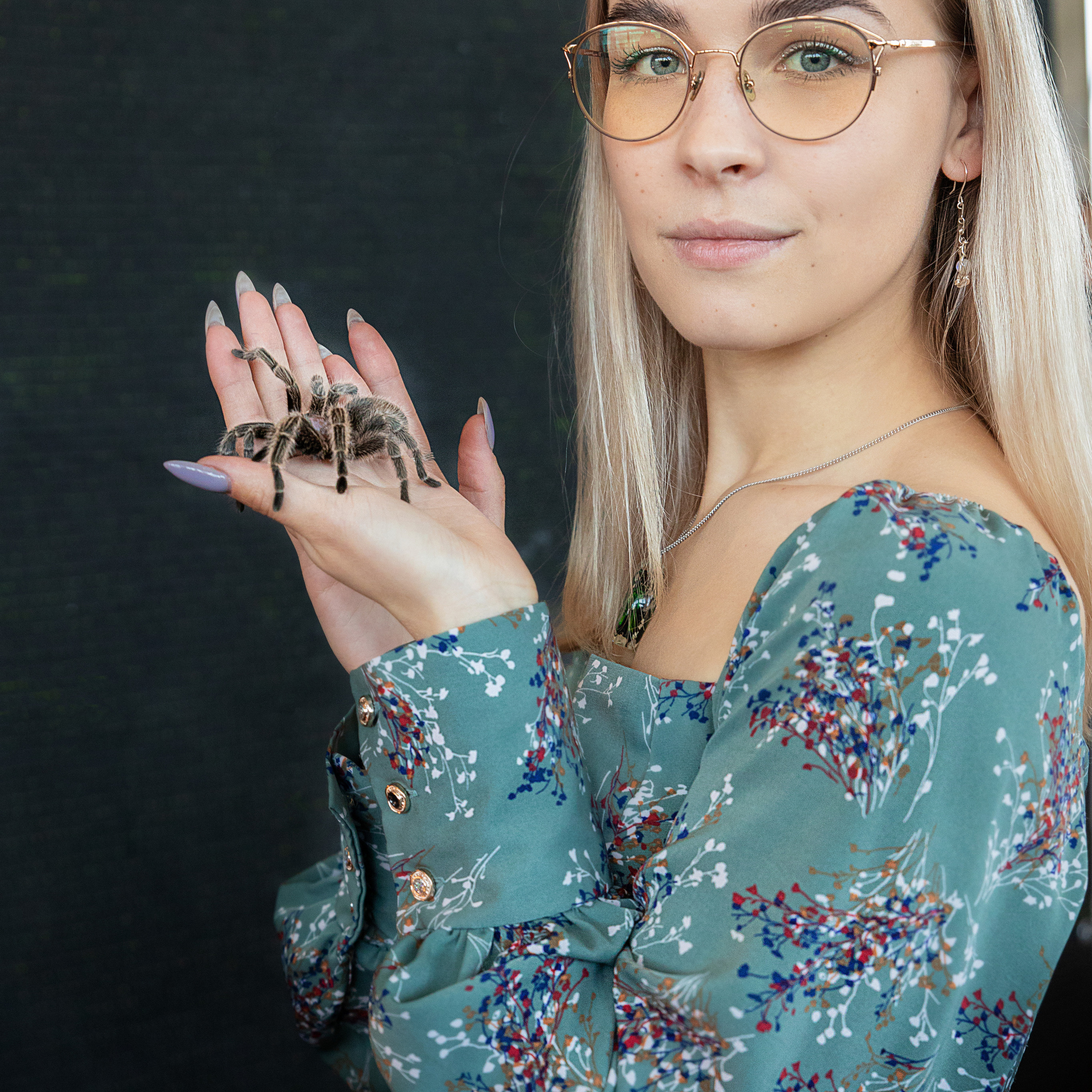 Выставка Экзотических Животных