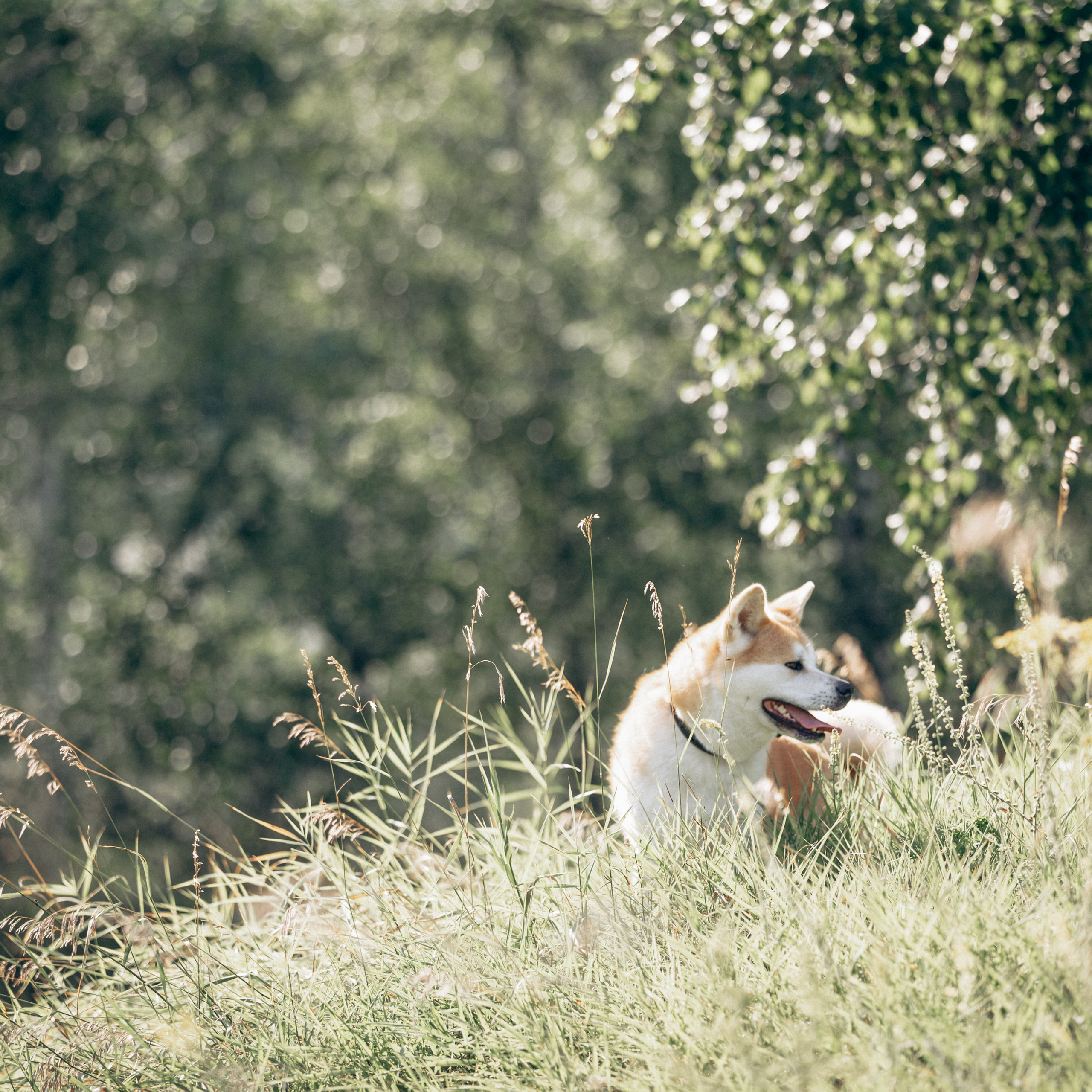 Отзывы. Семейный фотограф в Белгороде