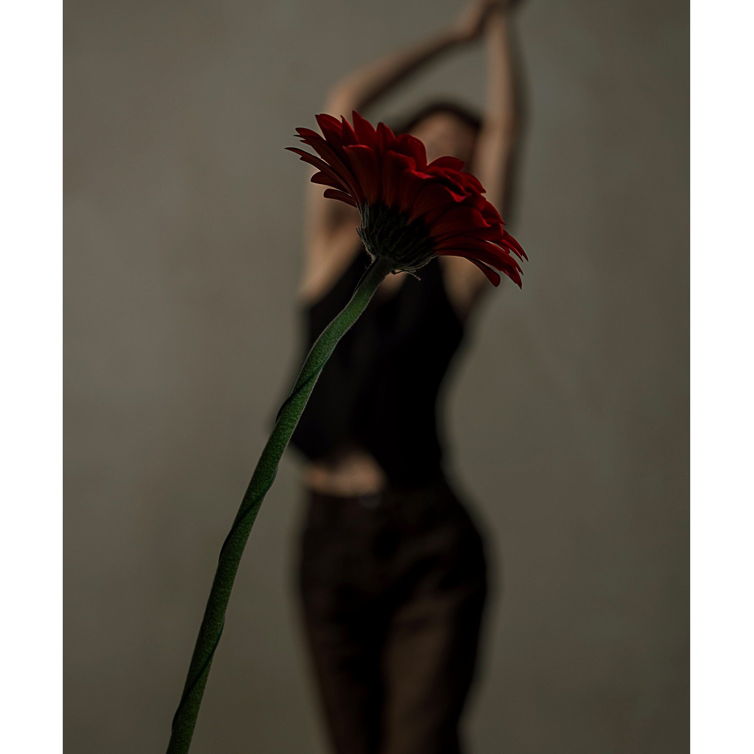 Екатерина — Минимализм