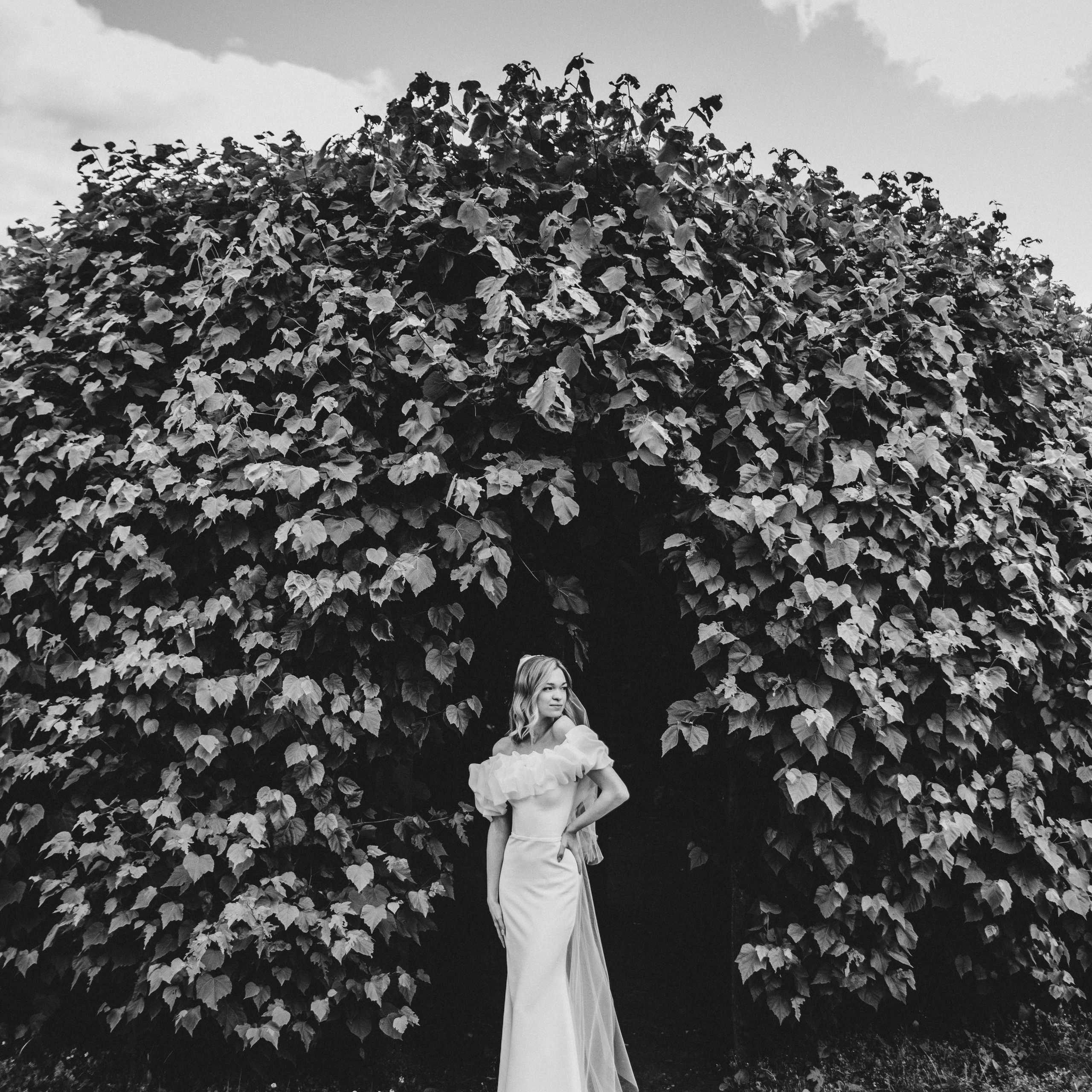 Отзывы. Baranowsky_wed