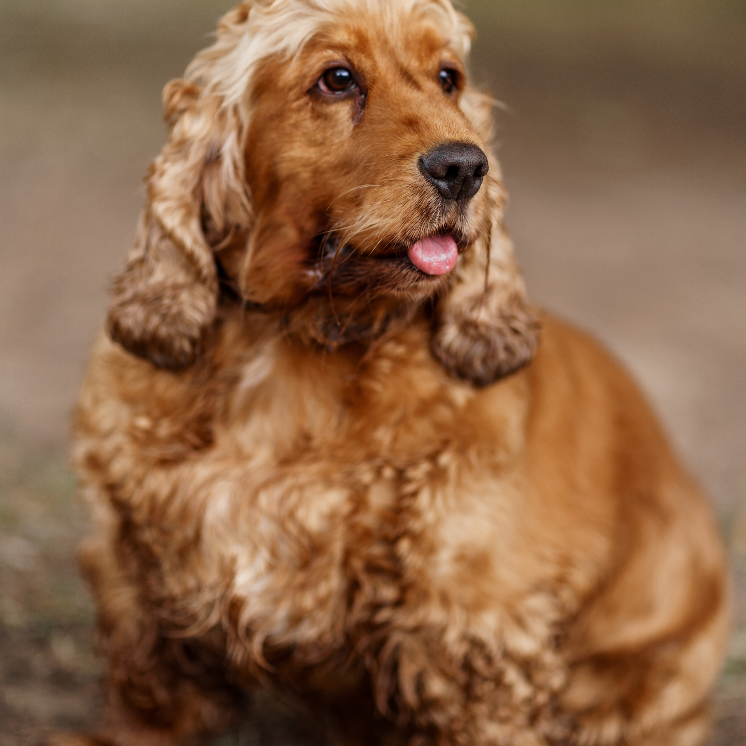 Отзывы. Мира Назарова / Фотограф / Специалист по личному