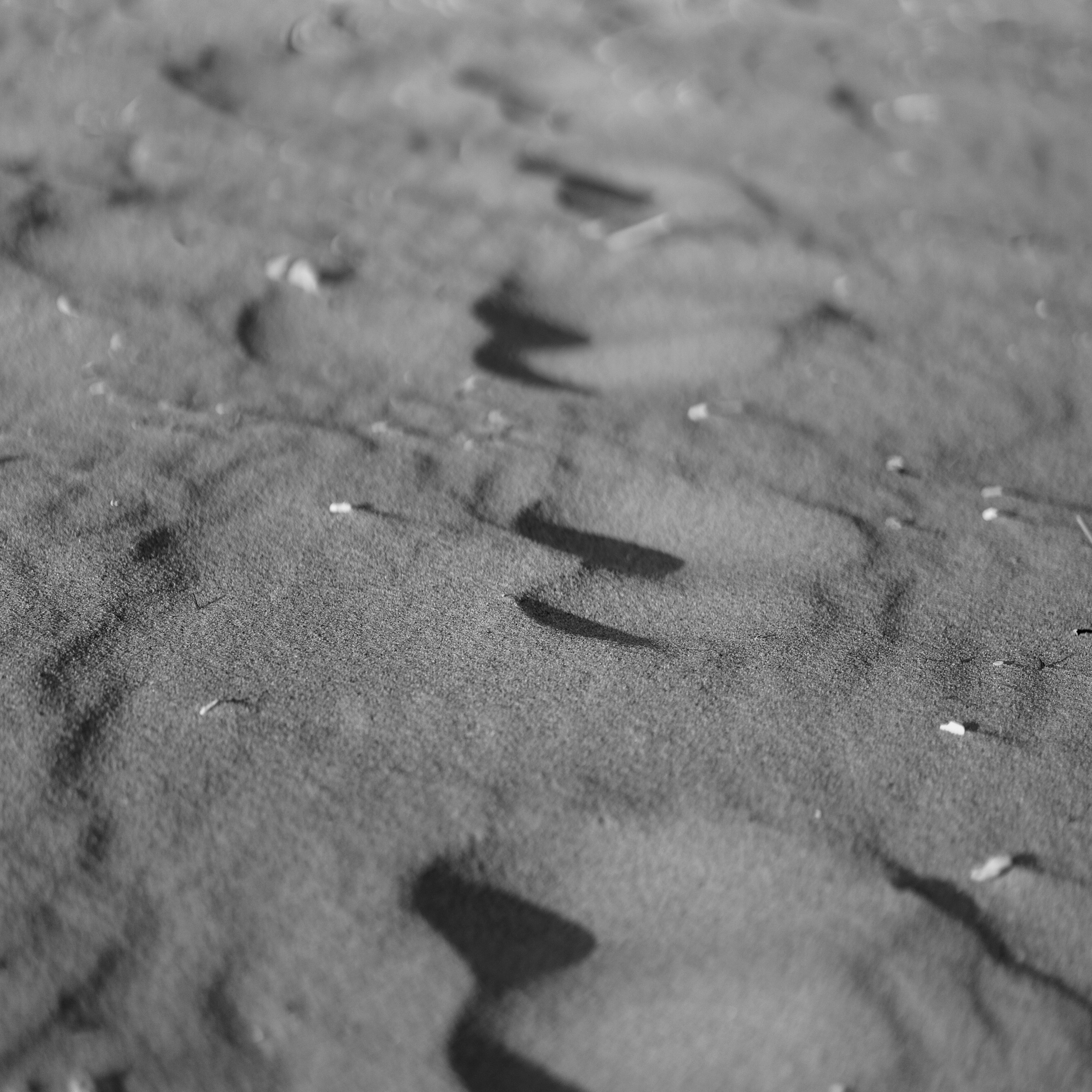 Отзывы. Мира Назарова / Фотограф / Специалист по личному