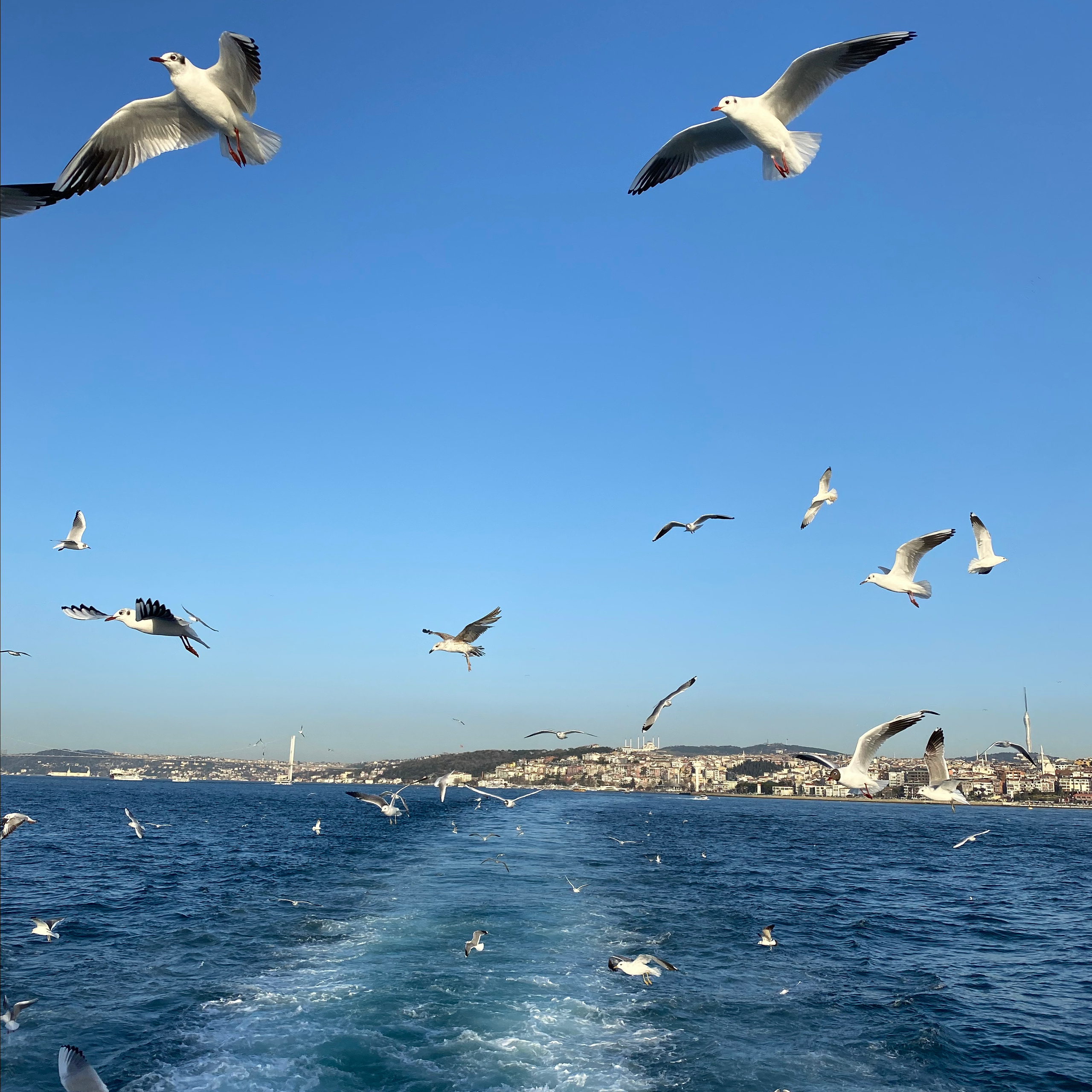 Отзывы. Репортажный фотограф Михаил Наволокин Москва