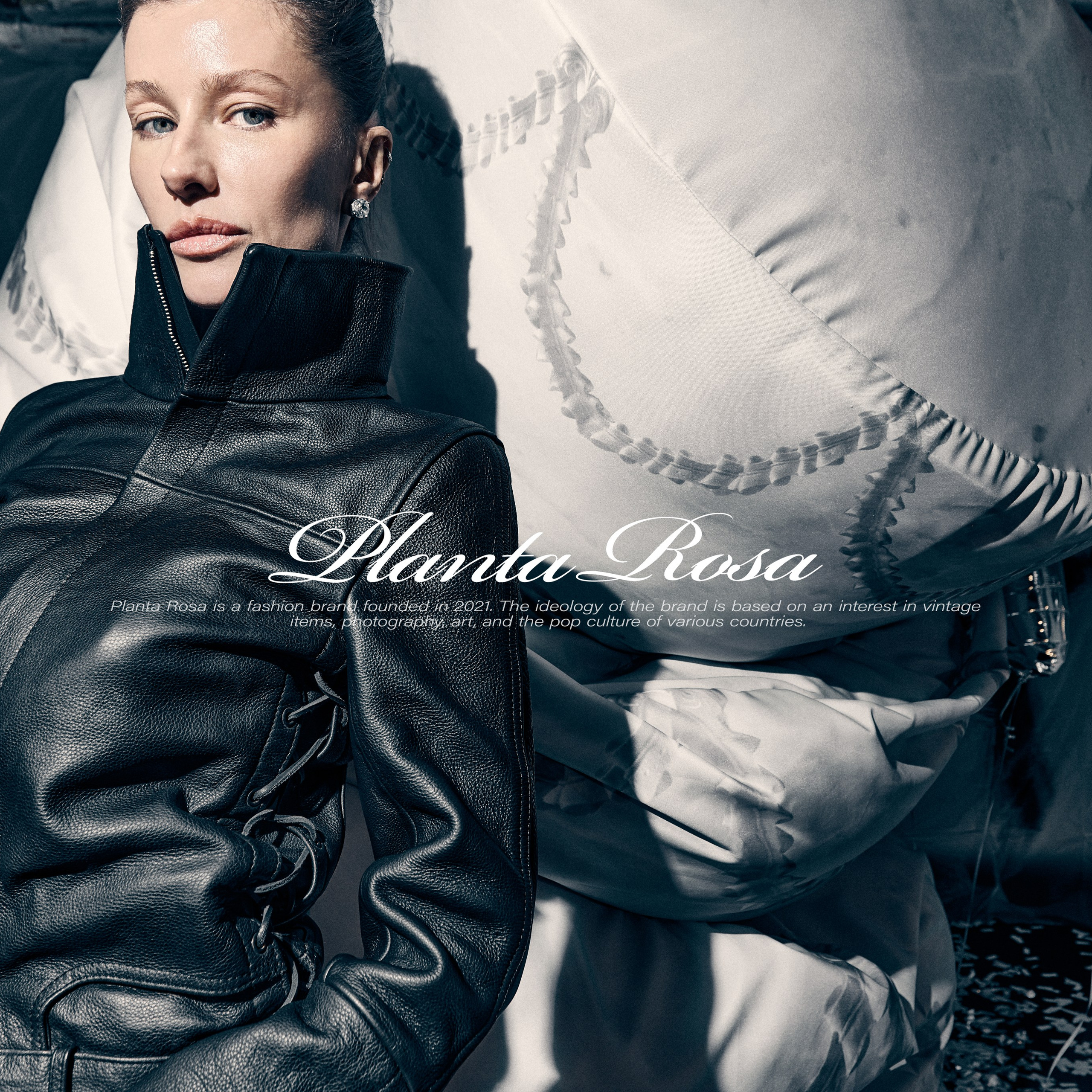 PLANTA ROSA&nbsp;— REPORTAGE