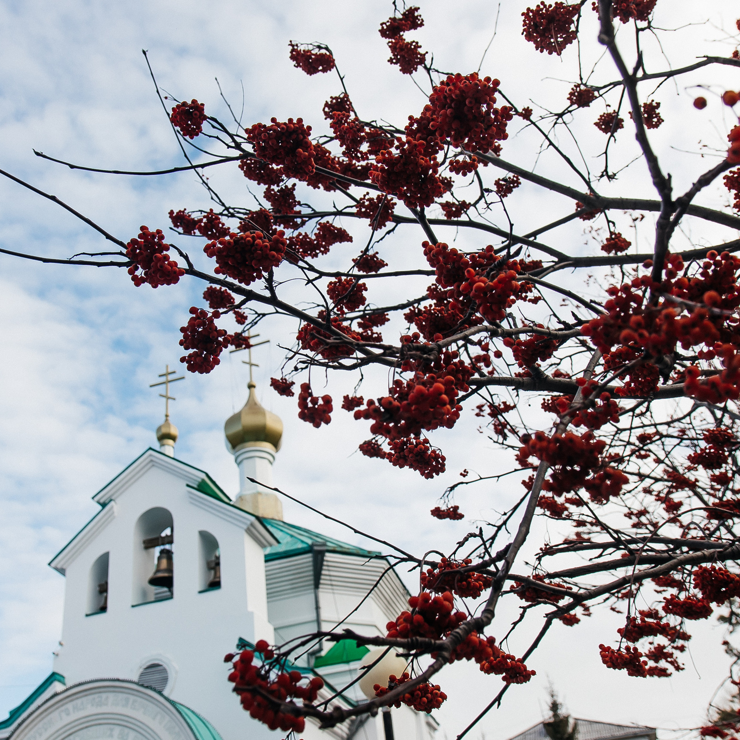 Отзывы. Фотограф Катерина Иванова