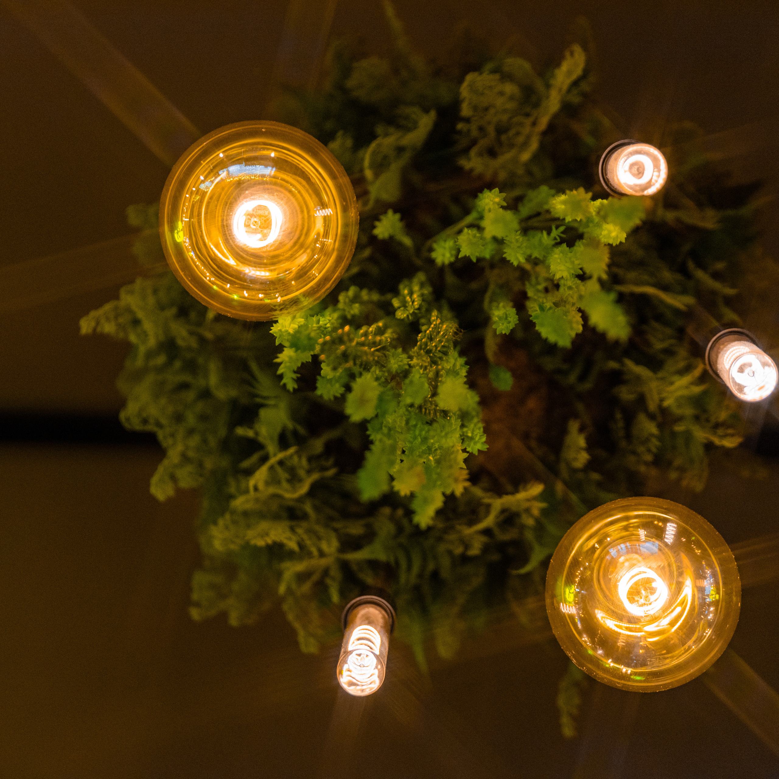 Кафе Панам Пицца