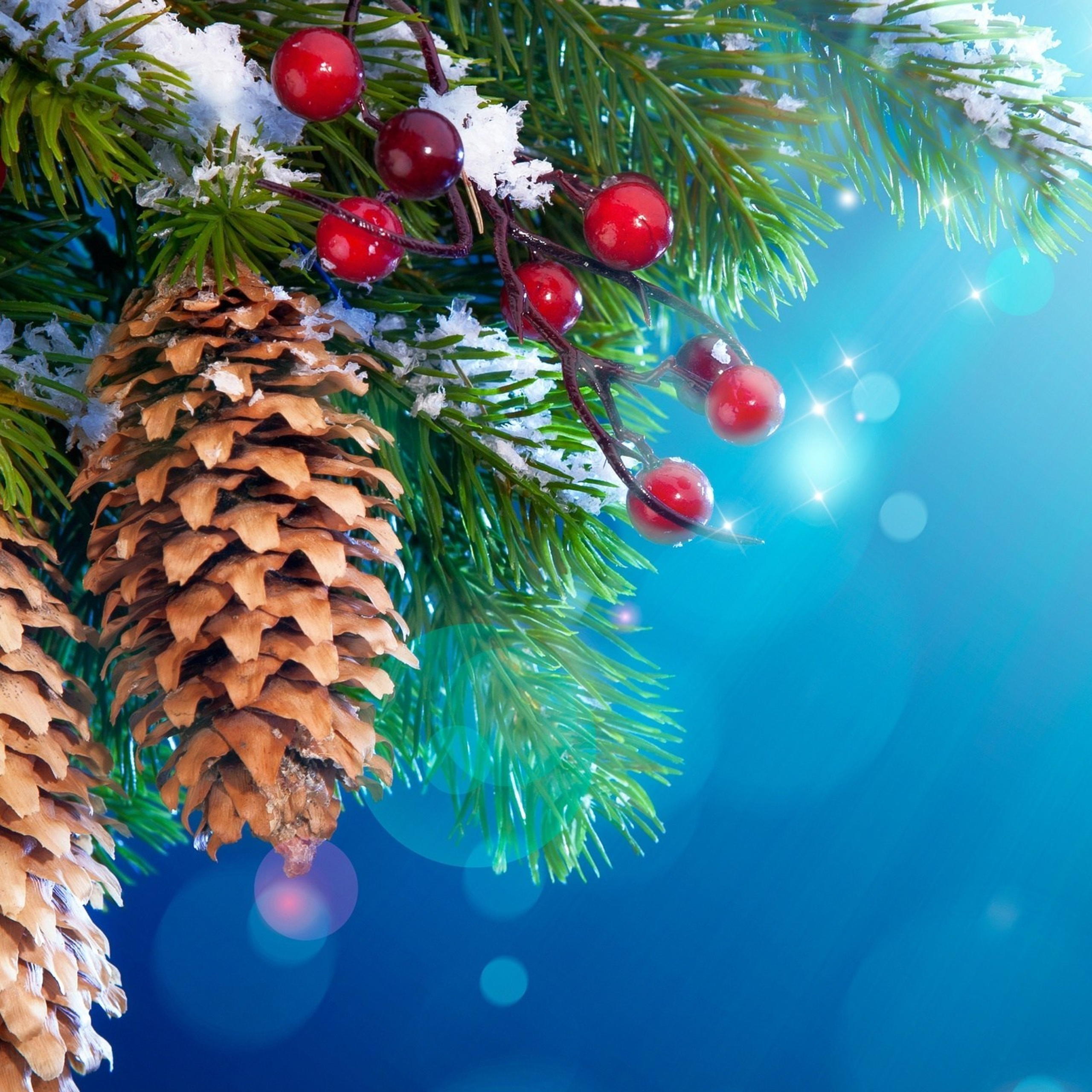 Отзывы. Мастер фото-, видеопортрета Марина Анголенко в Краснодаре