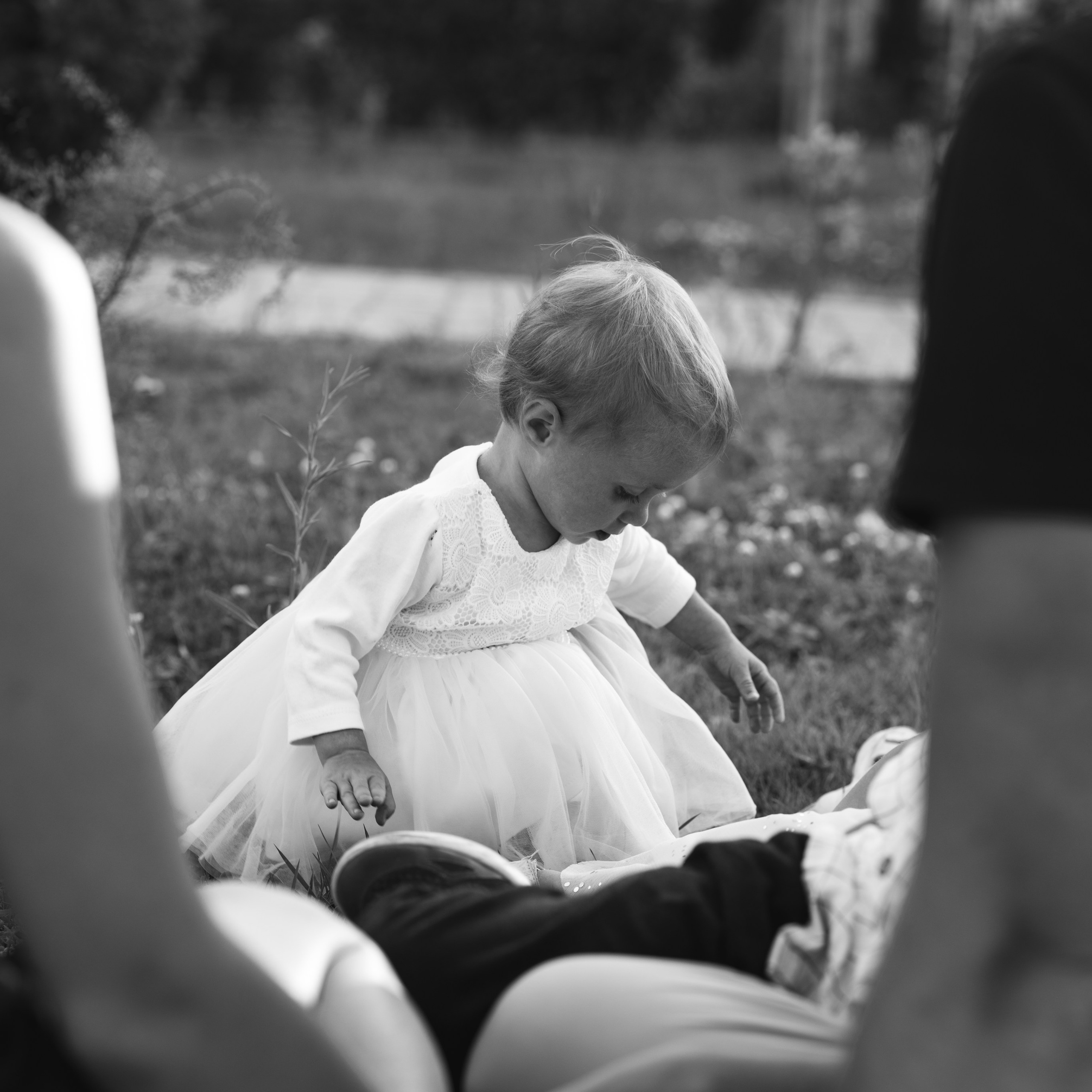 Family sun. ФОТОГРАФ И ВИДЕОГРАФ в Крыму Андрей Кулак