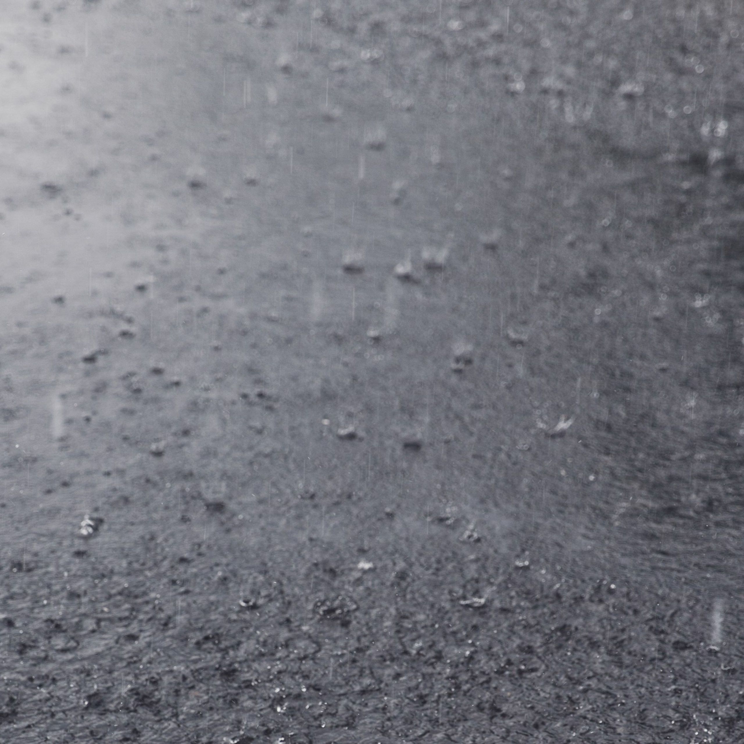 Сергей и Оля