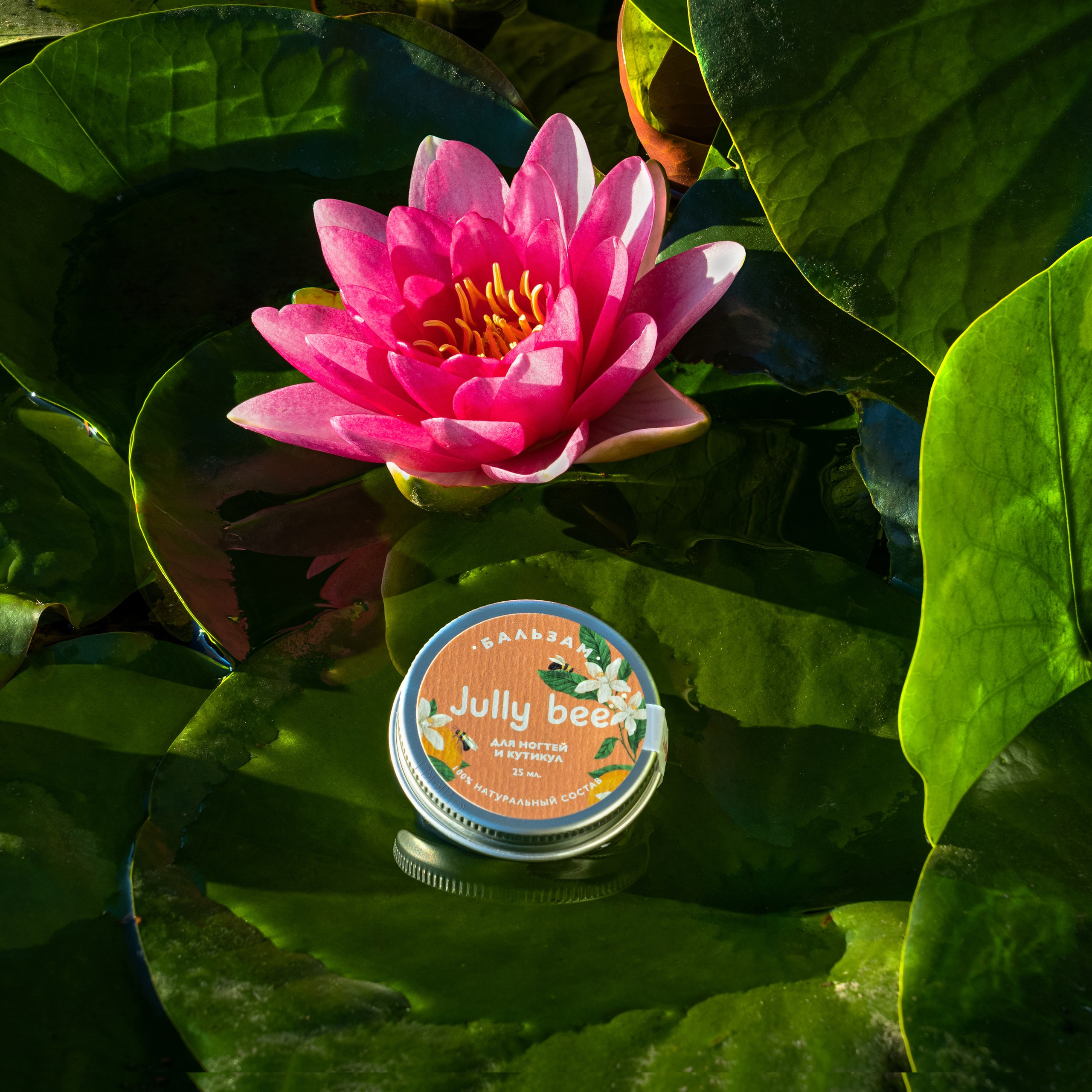 Бальзам Jully bee на листе кувшинки. Имиджевое фото