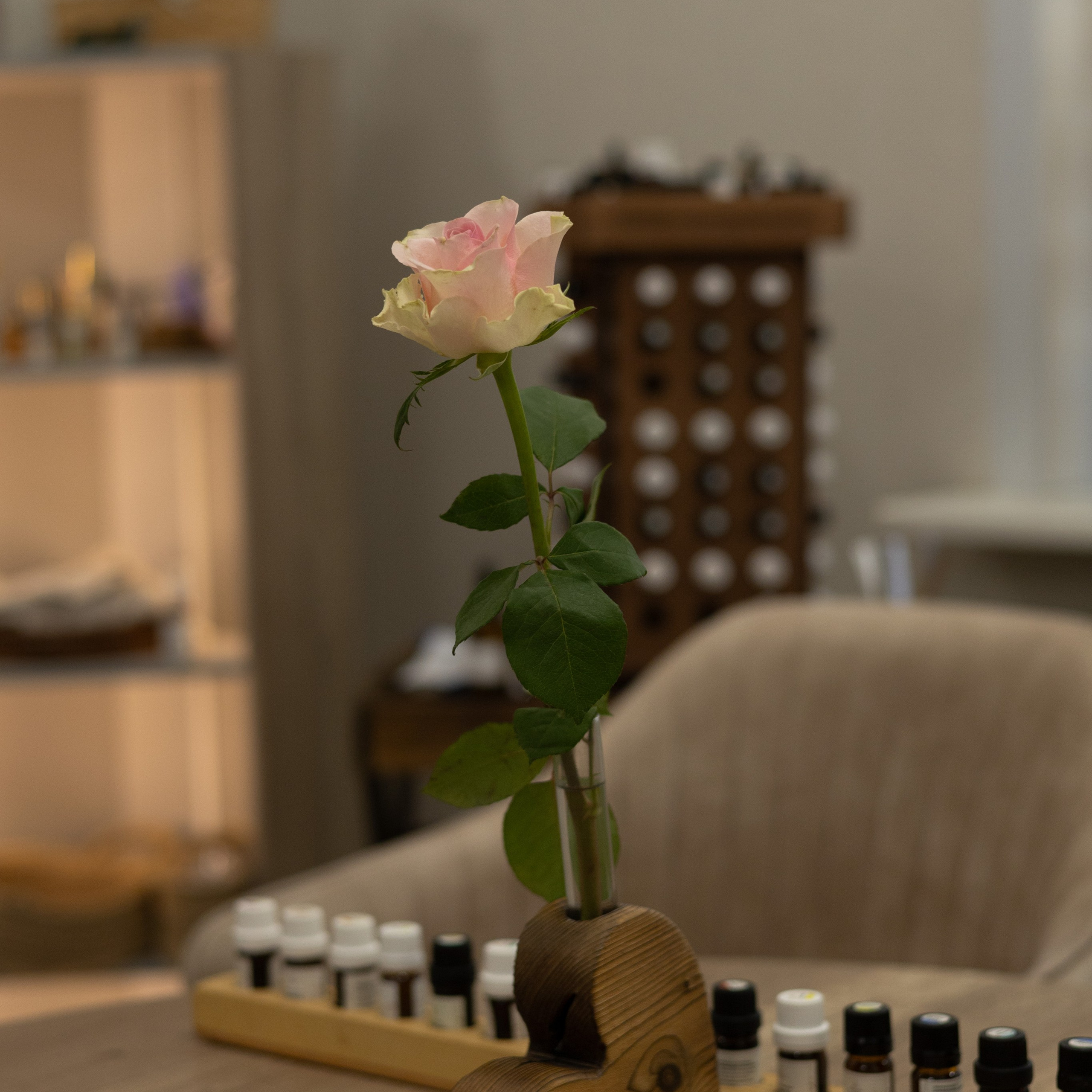 Отзывы. Фотограф Липецк