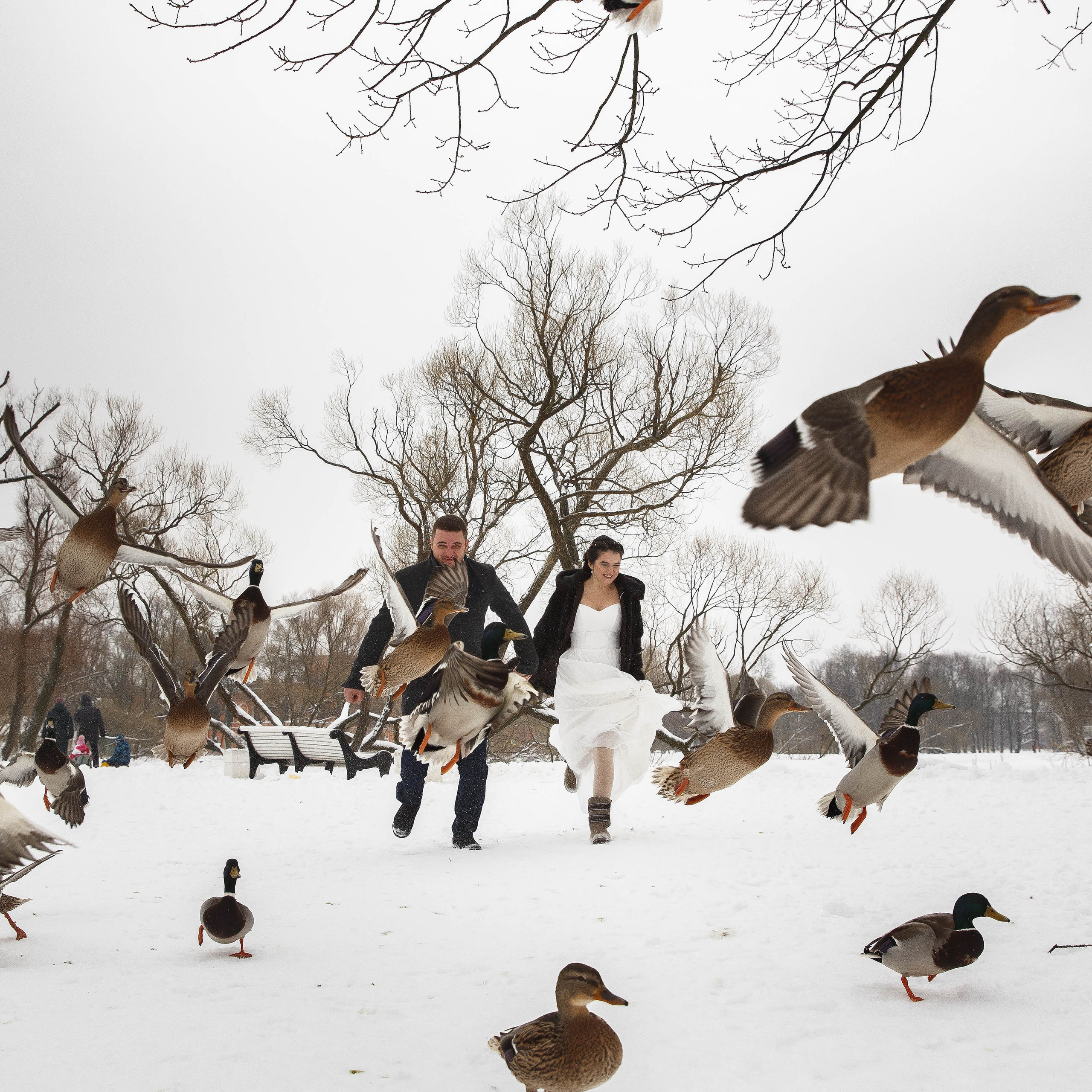 О Т З Ы В Ы. Свадебный фотограф Юлия Шторм