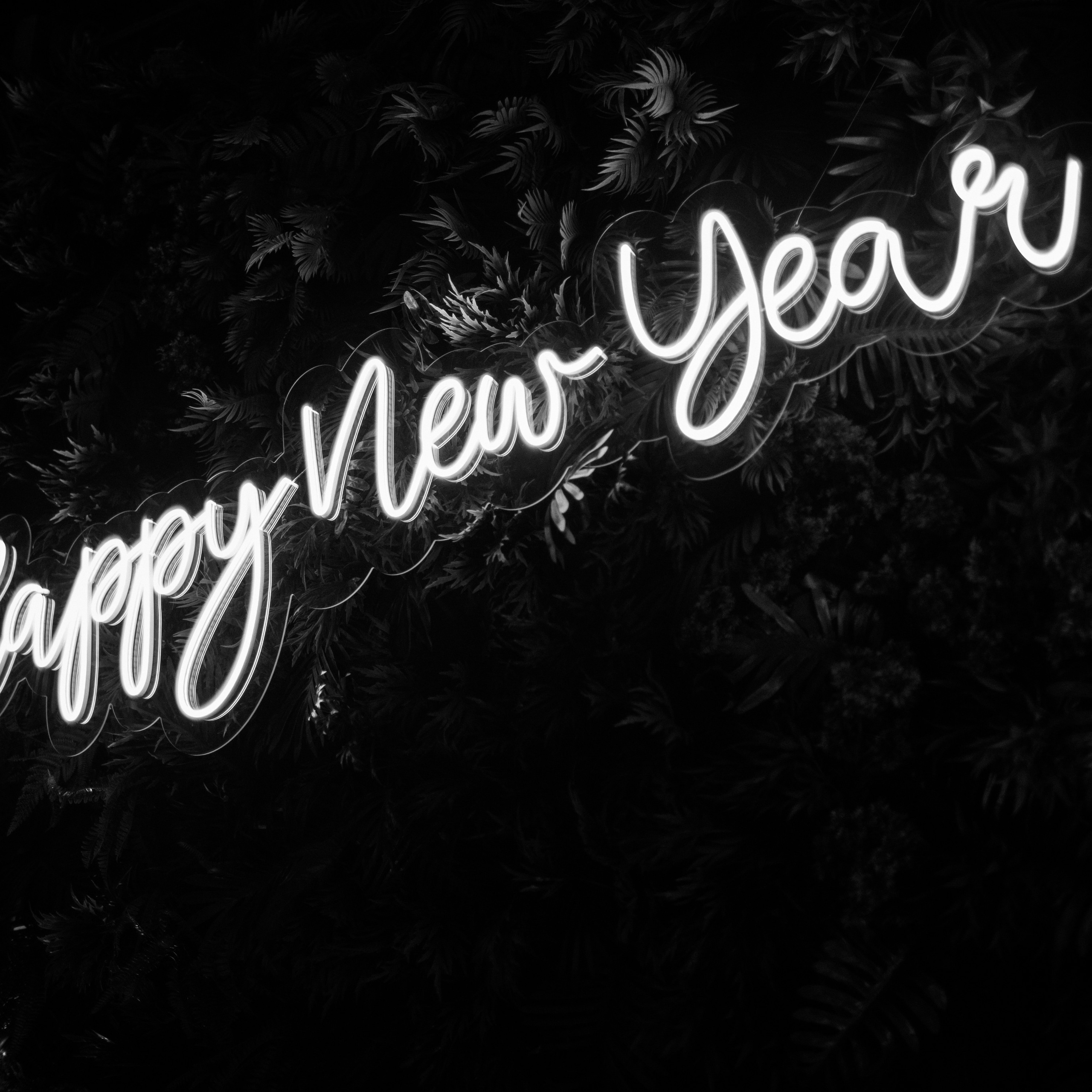 О Т З Ы В Ы. Свадебный фотограф Юлия Шторм