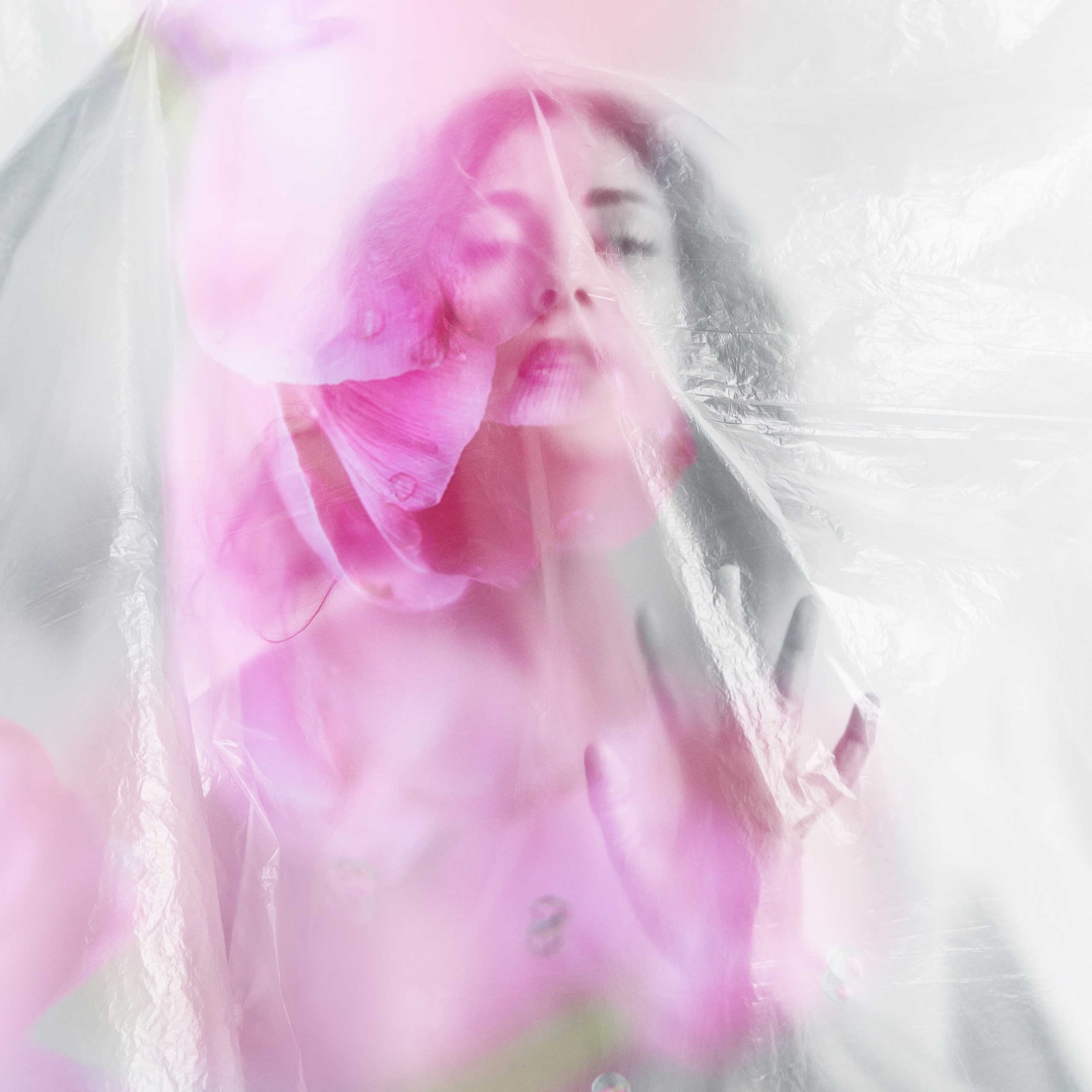 КСЕНИЯ, специалист по генеалогии