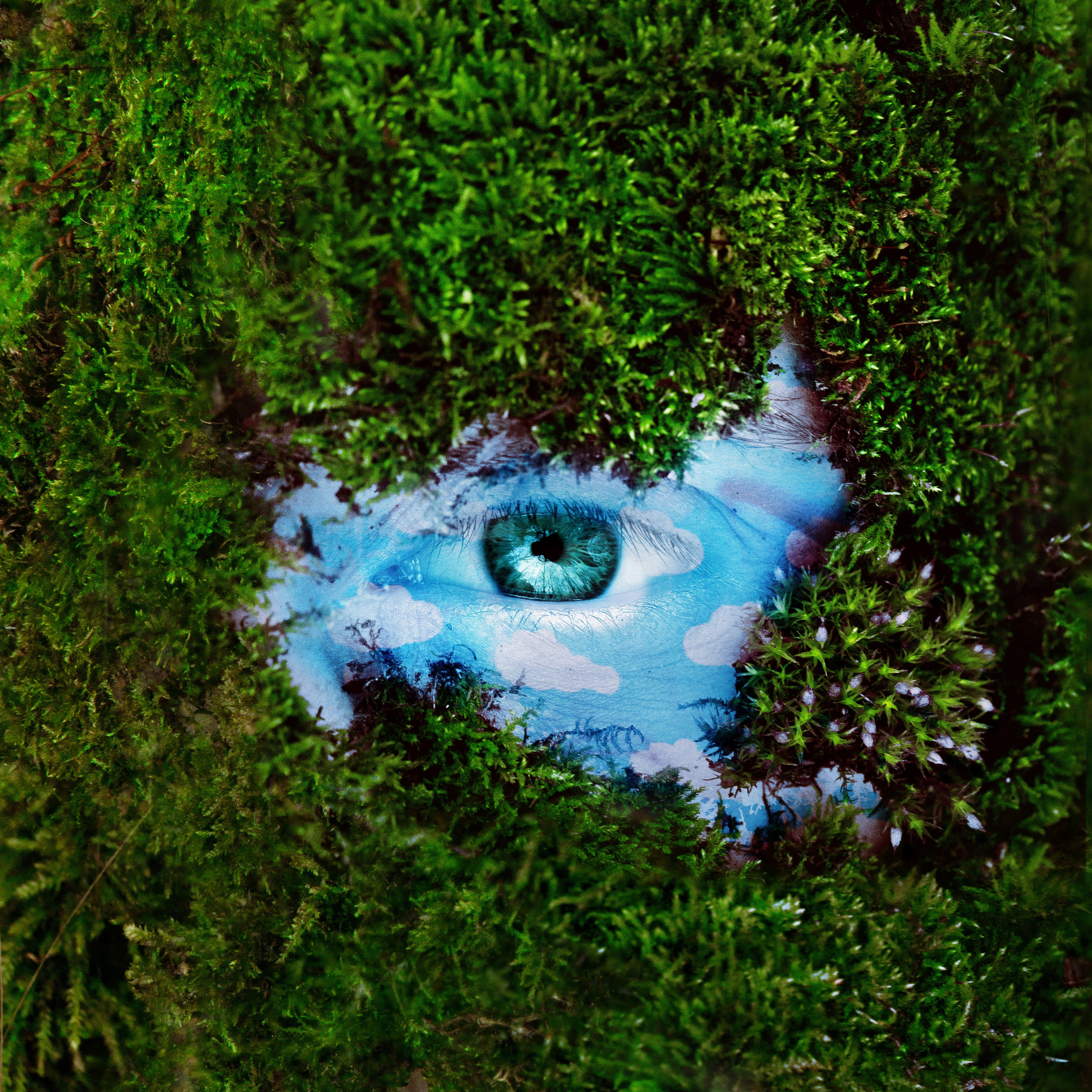 В ГЛАЗАХ СМОТРЯЩЕГО