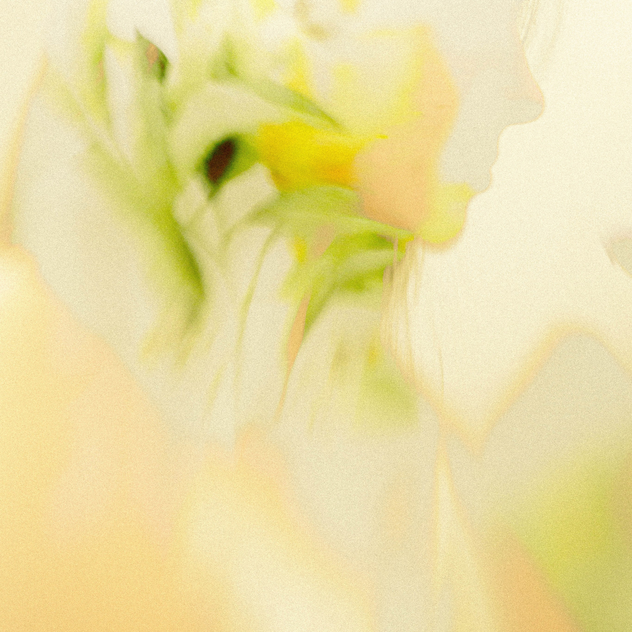 Татьяна, молодая мама