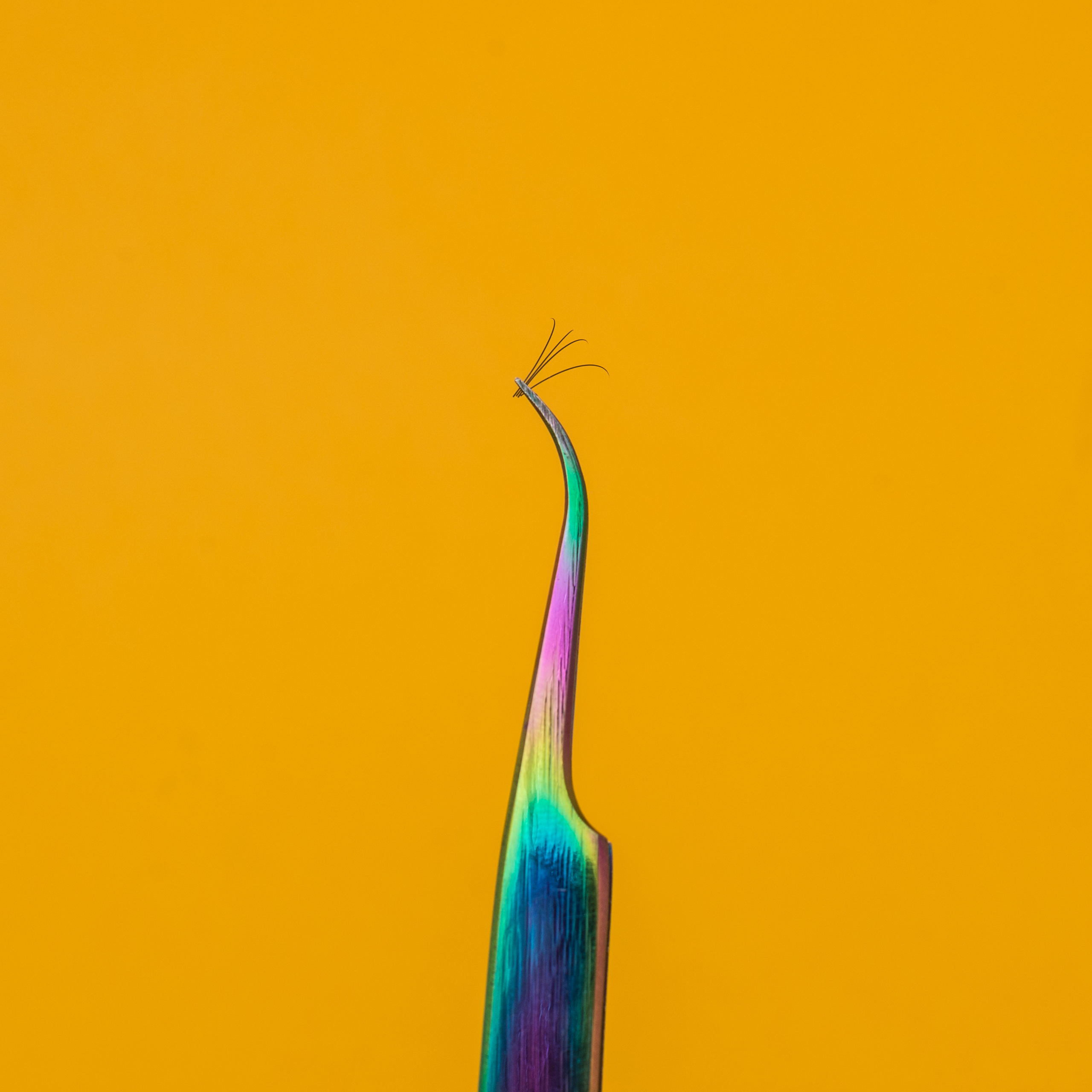 SelfieLashes. Фотограф Любовь Белявцева