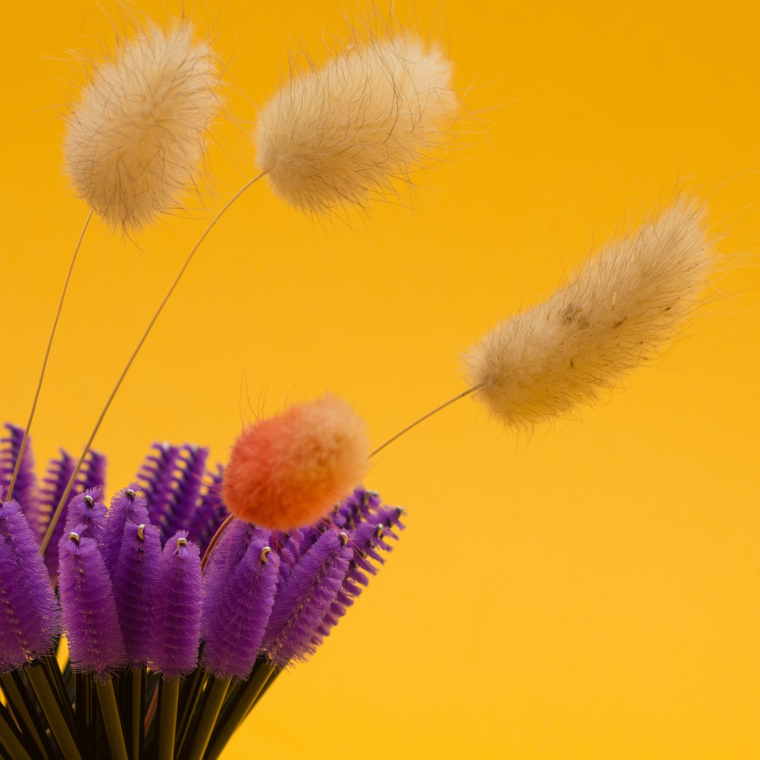 SelfieLashes. Фотограф Любовь Белявцева