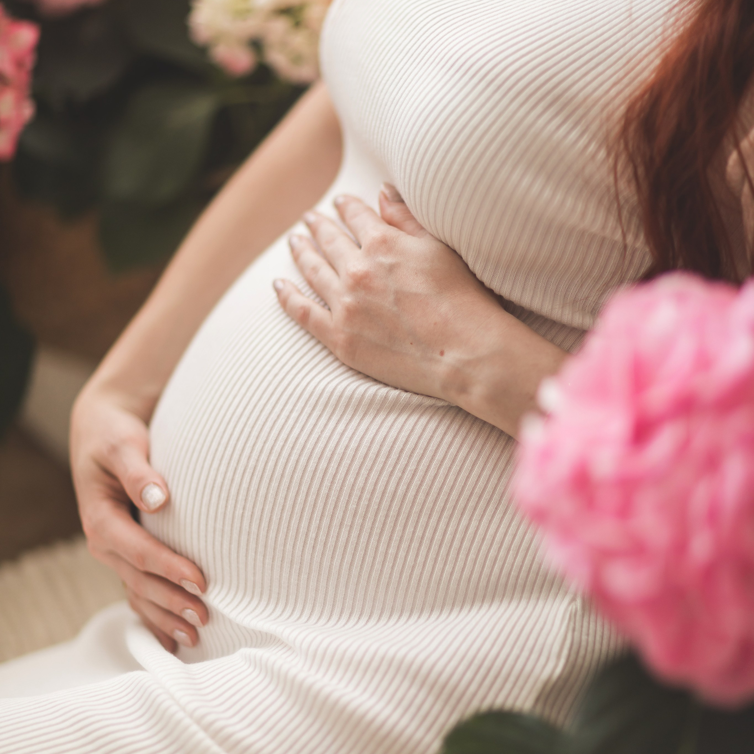 Гортензия в&nbsp;студии