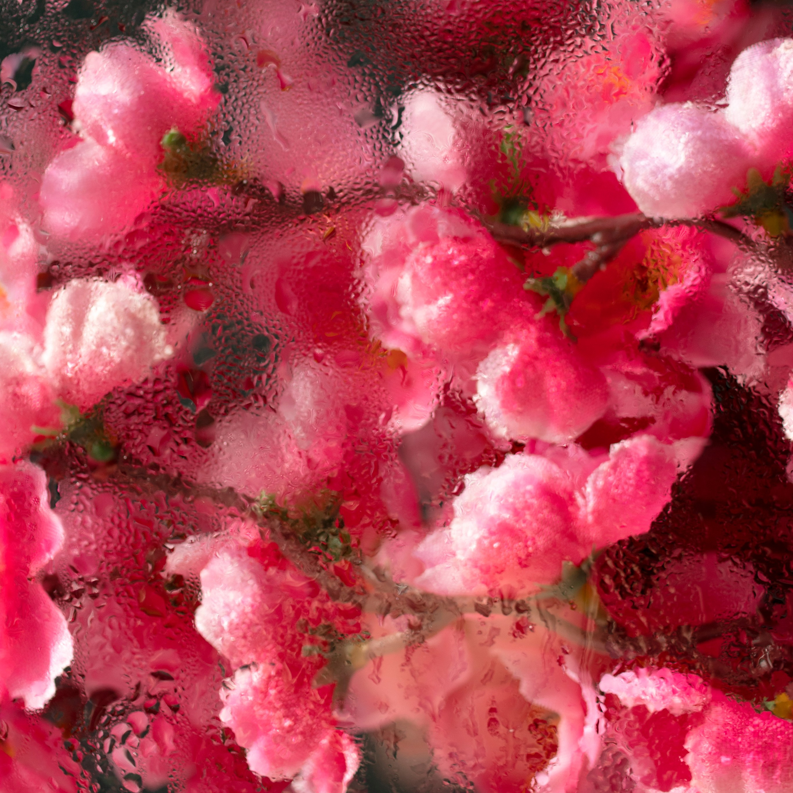 Отзывы. Фотограф в Анапе Новороссийске Краснодаре Меснянкина Наталья