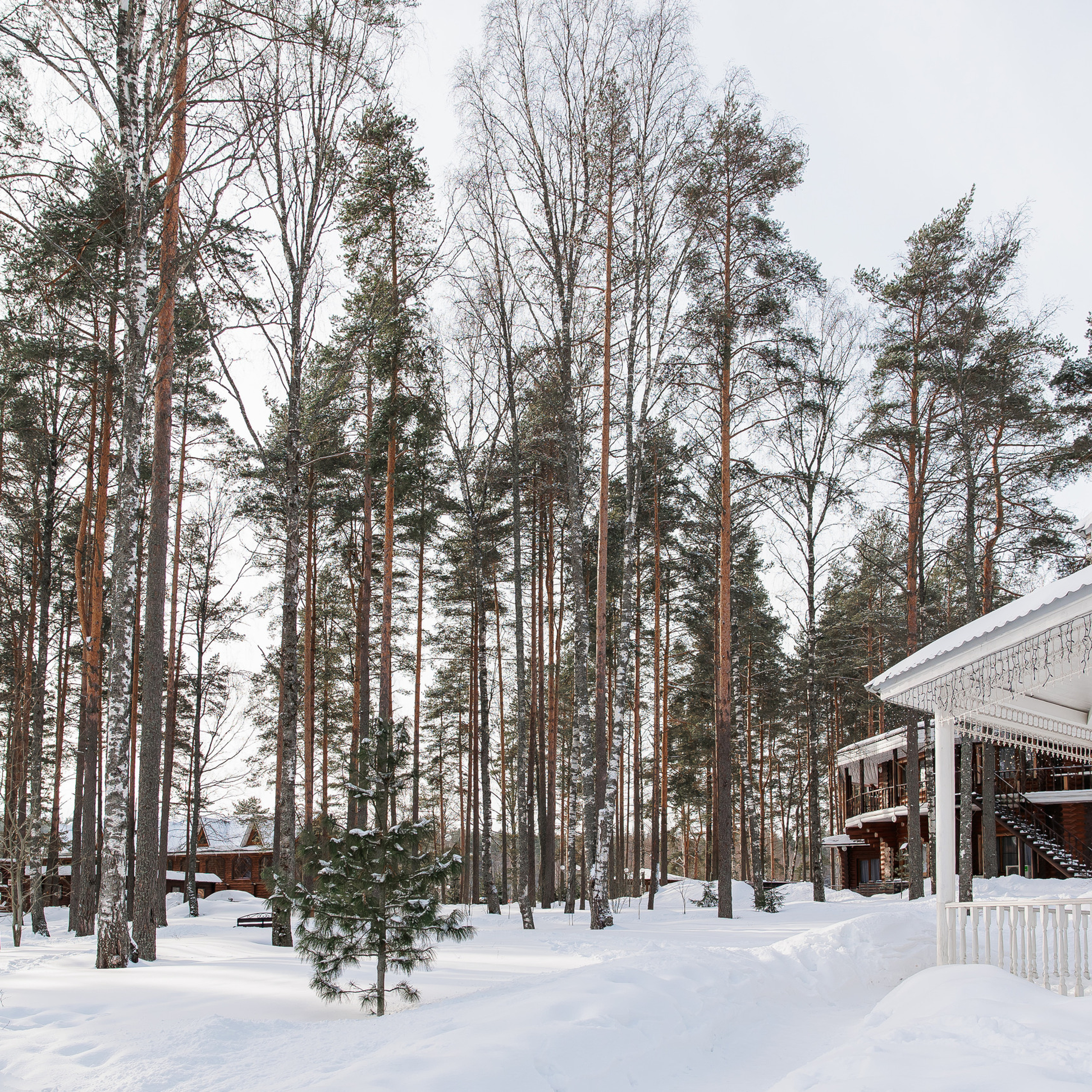 Отзывы. Фотограф в СПб Антонина Линова