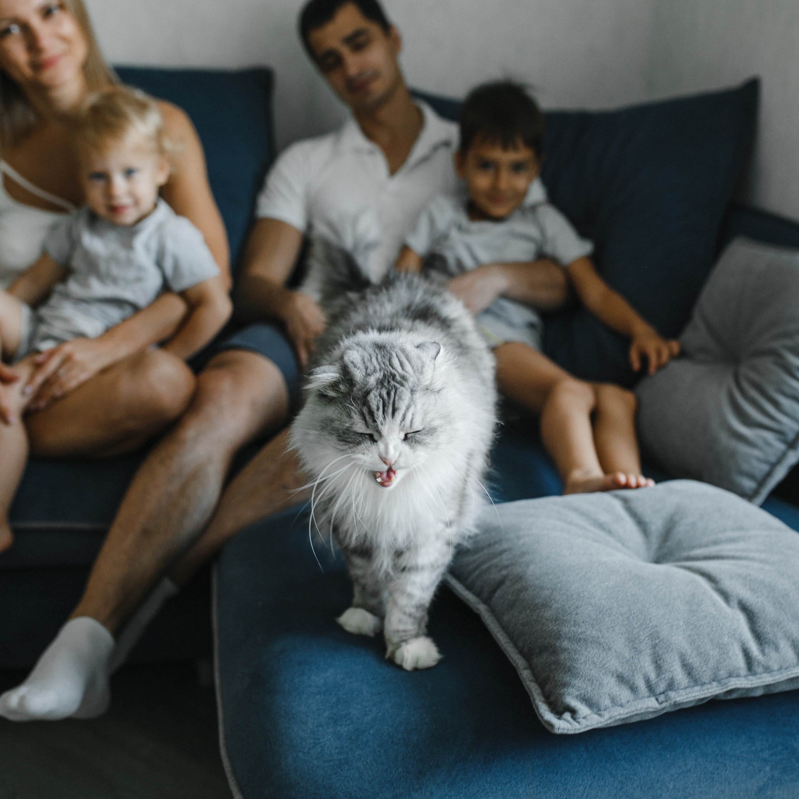 Кристина&Алексей домашняя