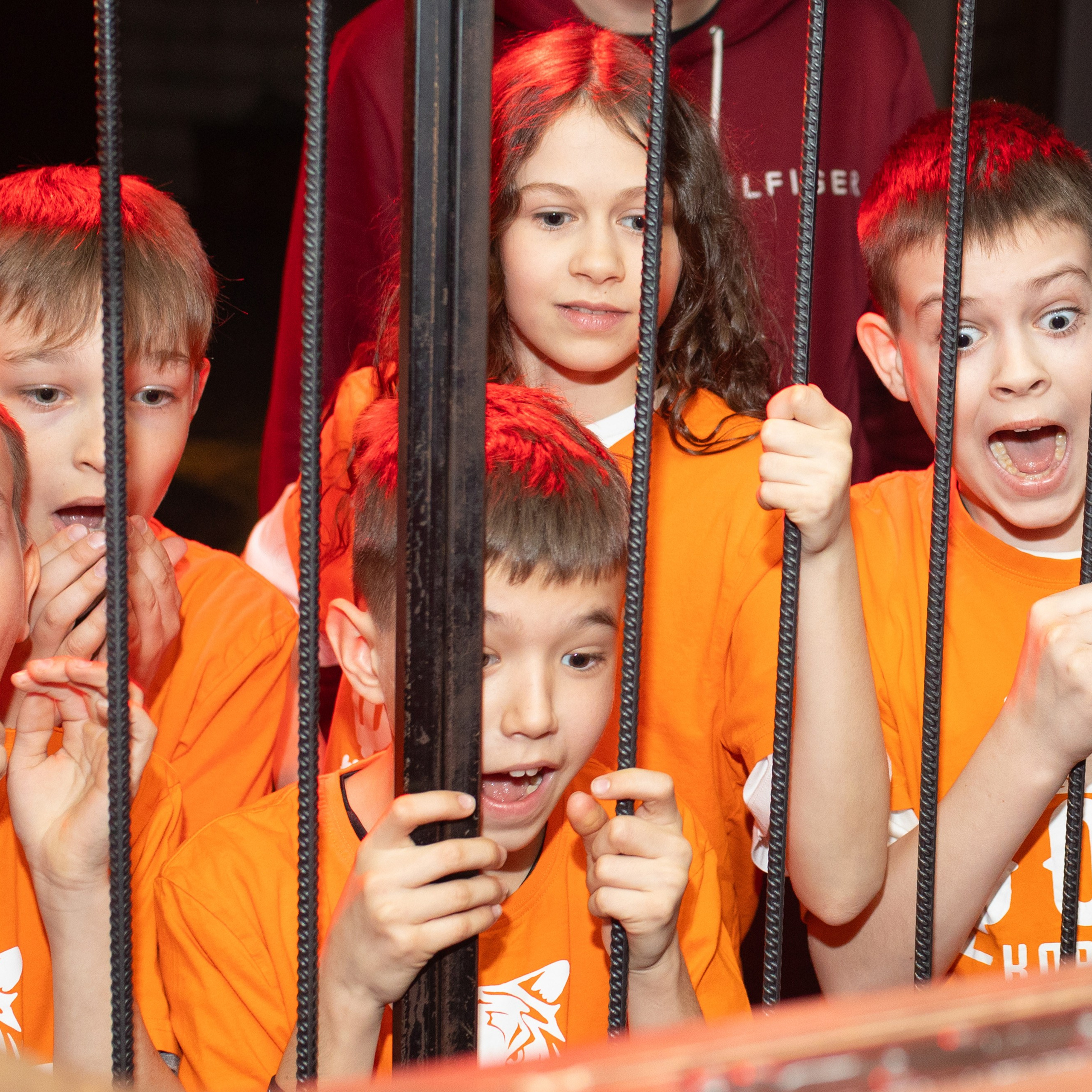 Форт Боярд -