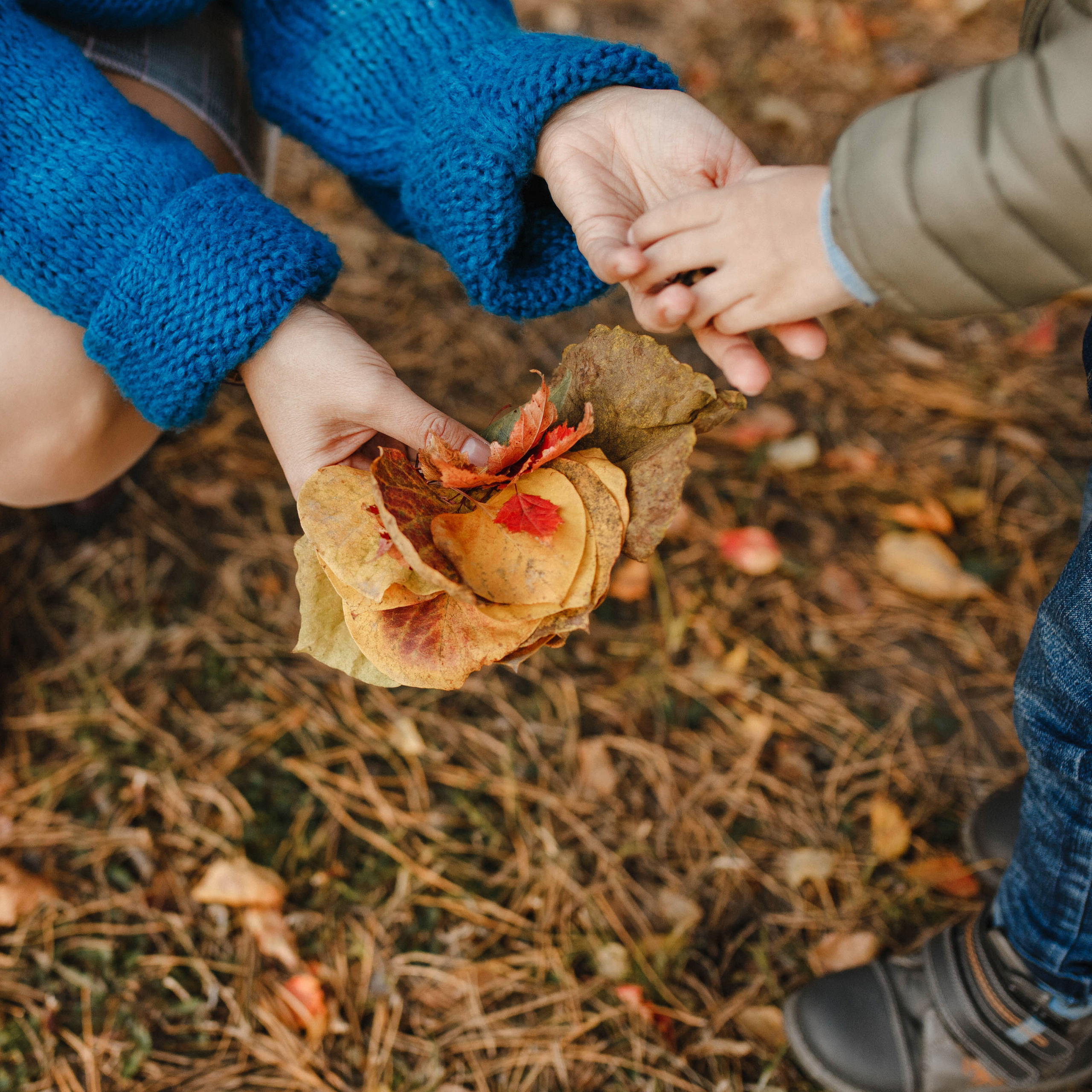 Вика&Толя (осенняя)