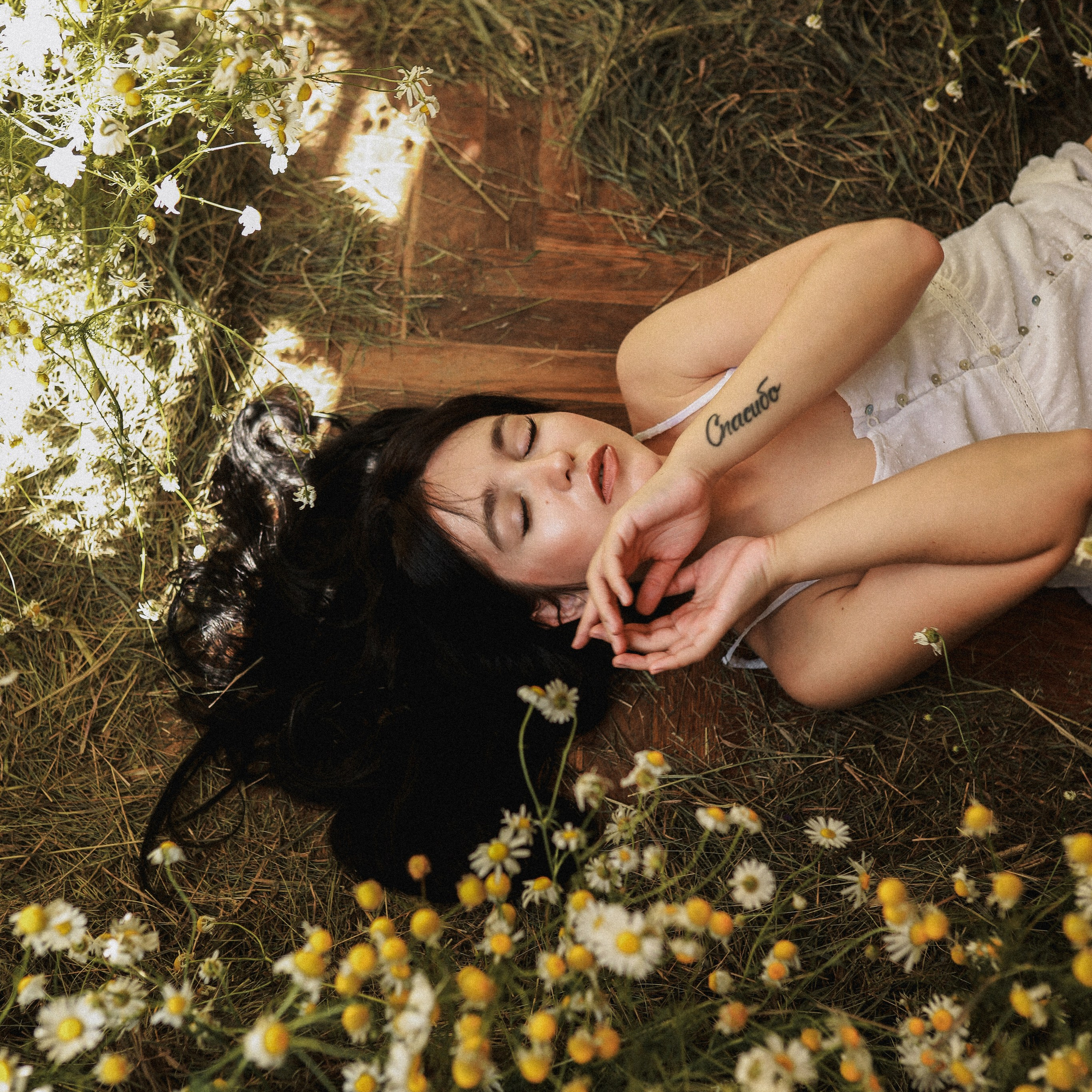 Сон в&nbsp;летнюю ночь | Ромашковое поле