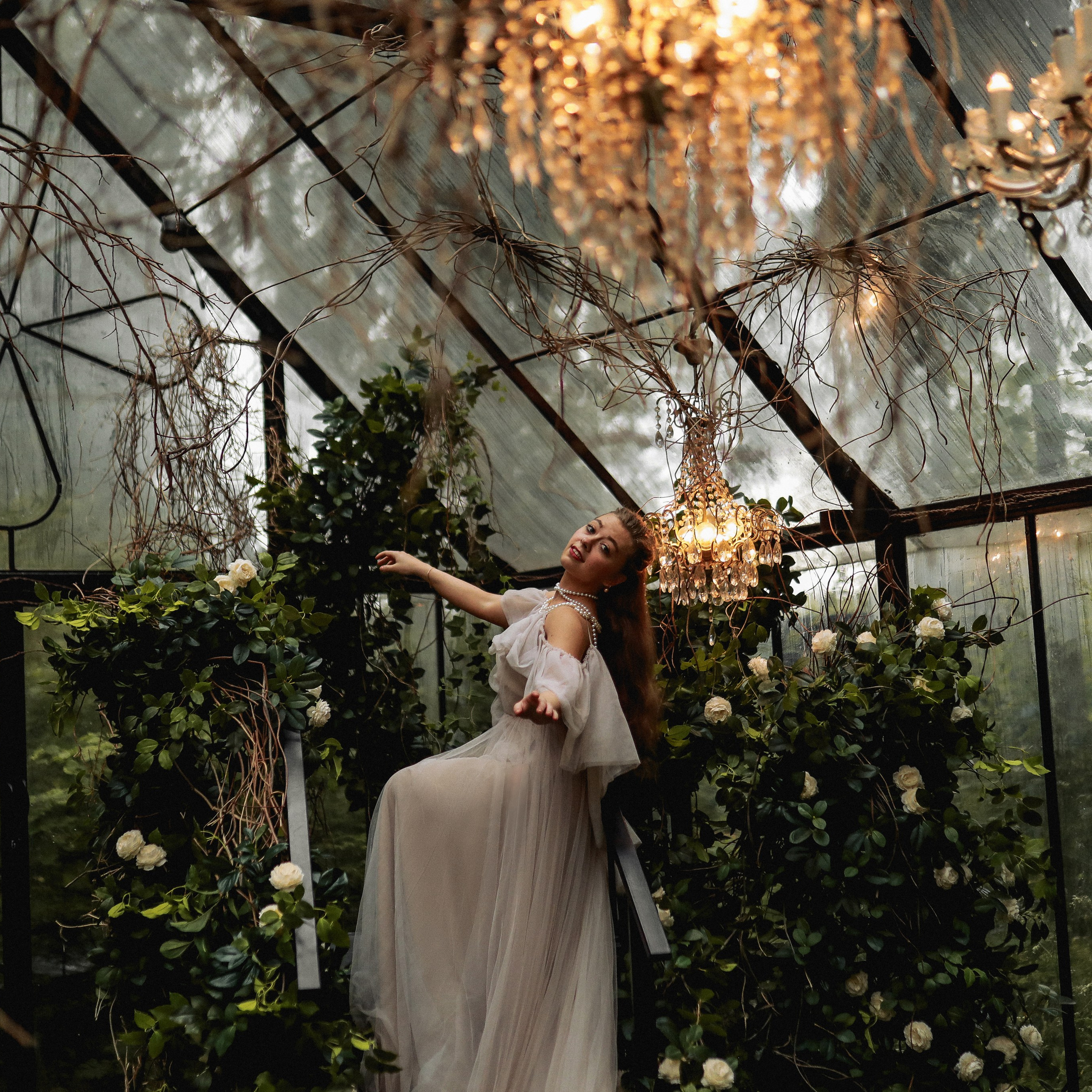 Зачарованный лес