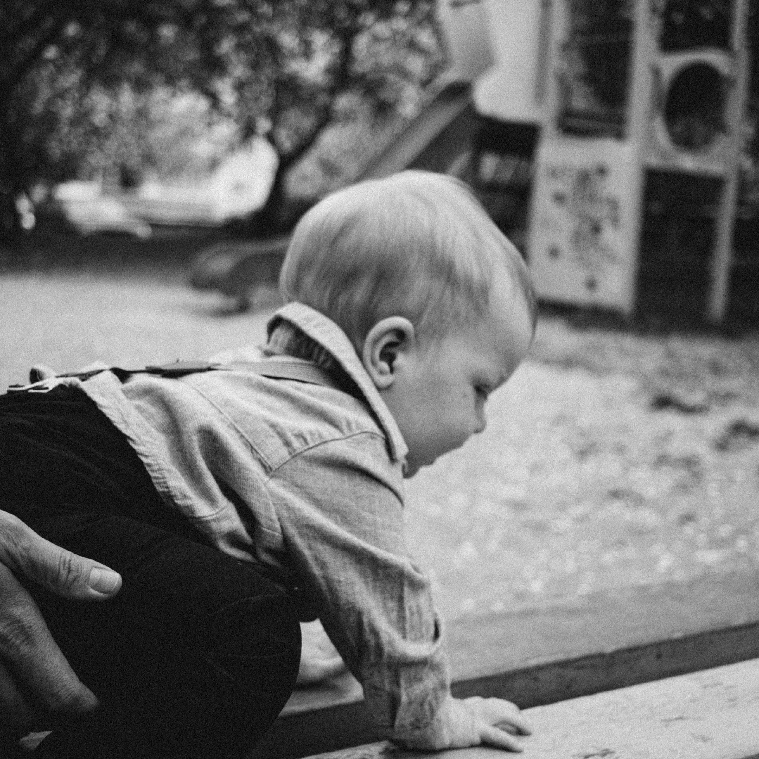 кадры на прогулке