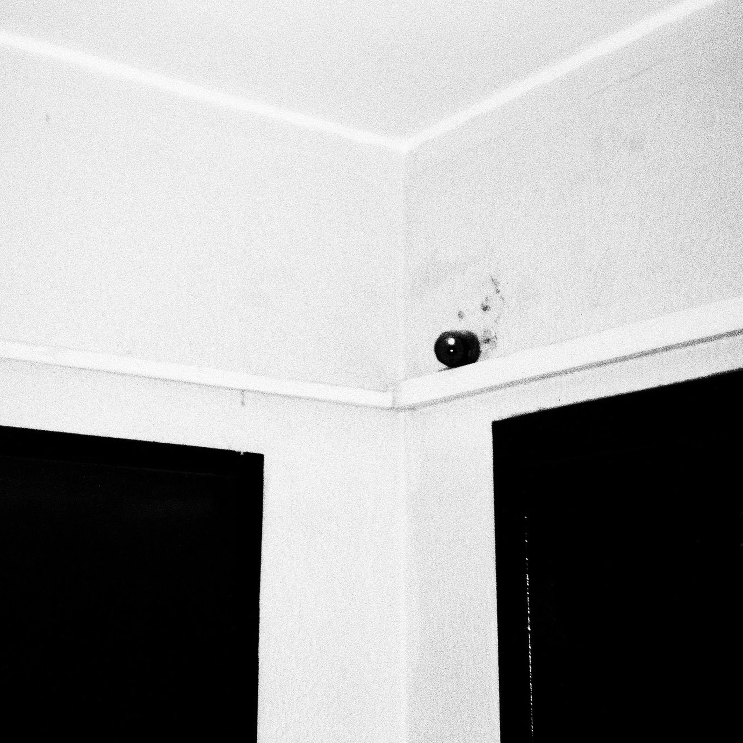 Мне нечего скрывать. Игорь Скабелин