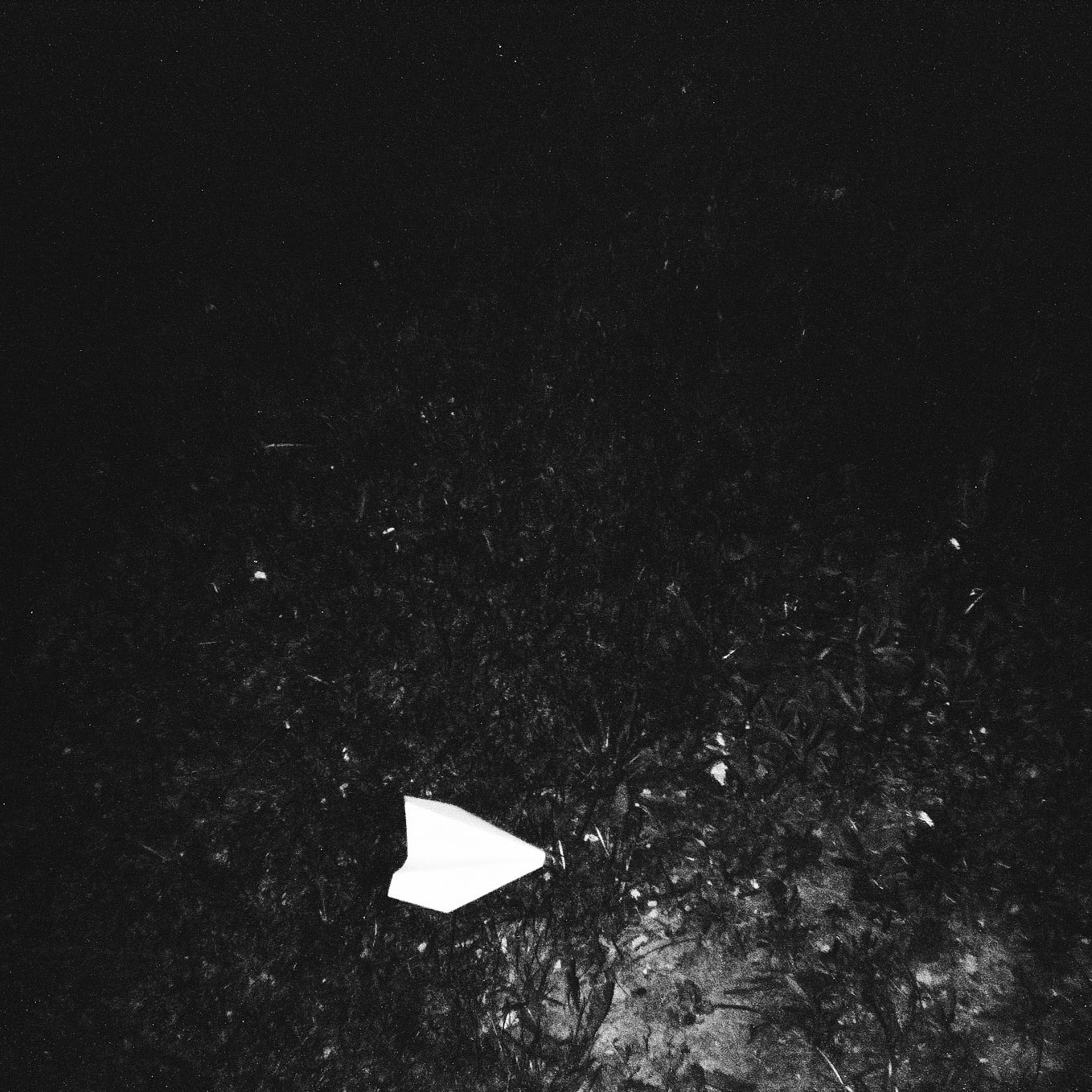 Мне нечего скрывать. Игорь Скабелин