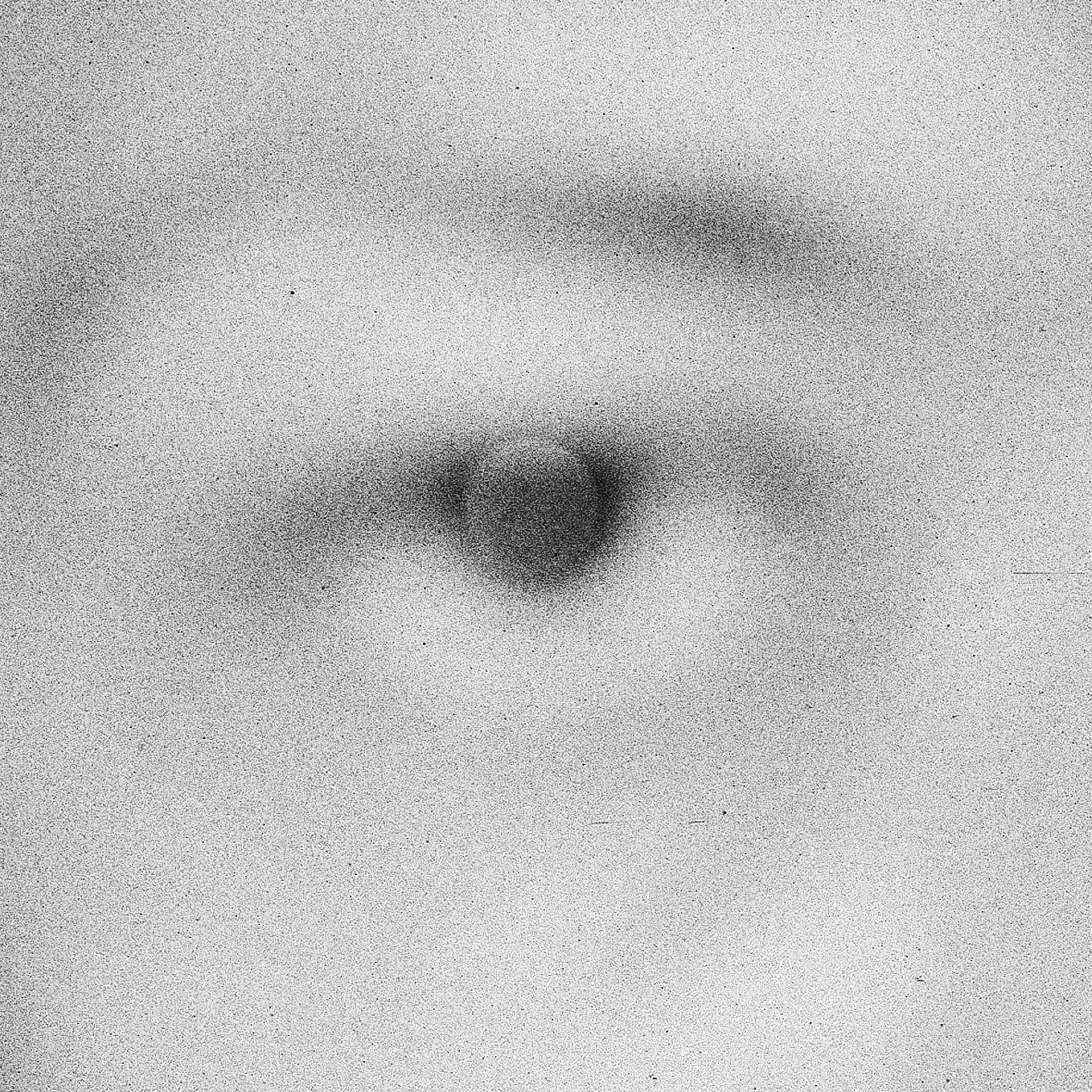 Мне нечего скрывать. Игорь Скабелин