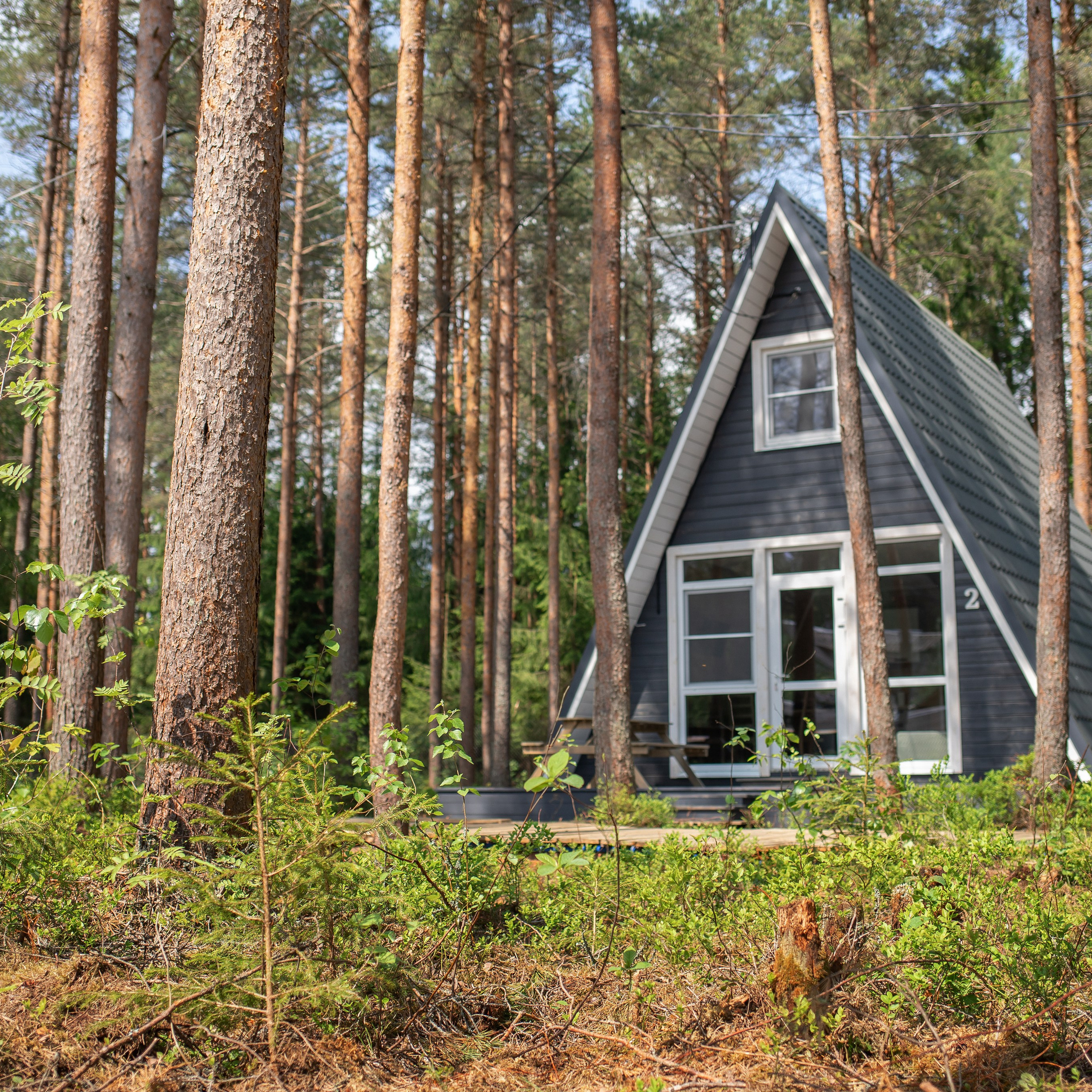 база отдыха Тосненский район ЛО