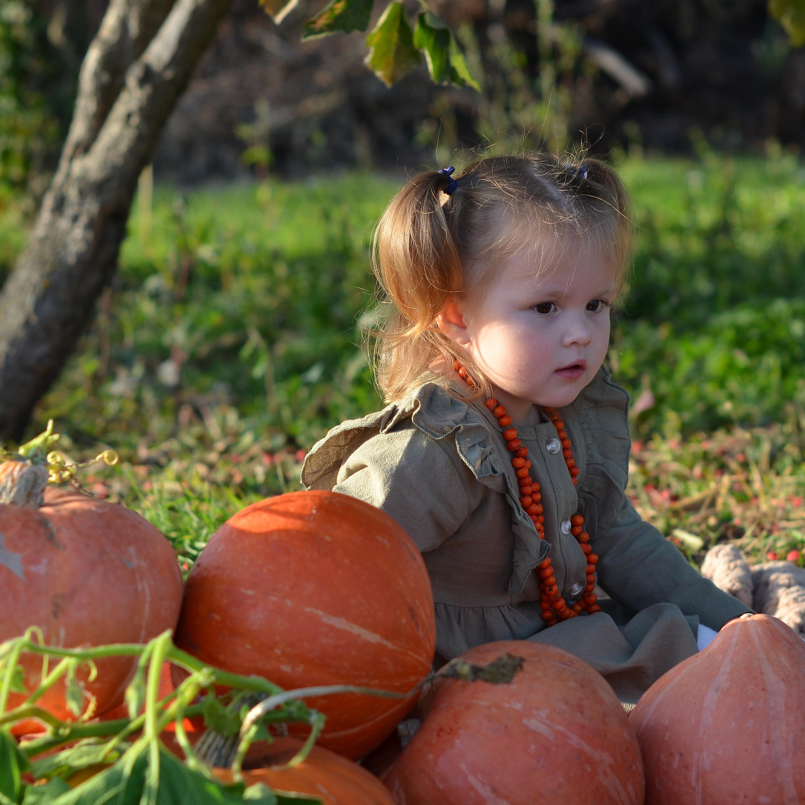 Отзывы. Семейный и детский фотограф в городе Грязи Олеся Огурцова