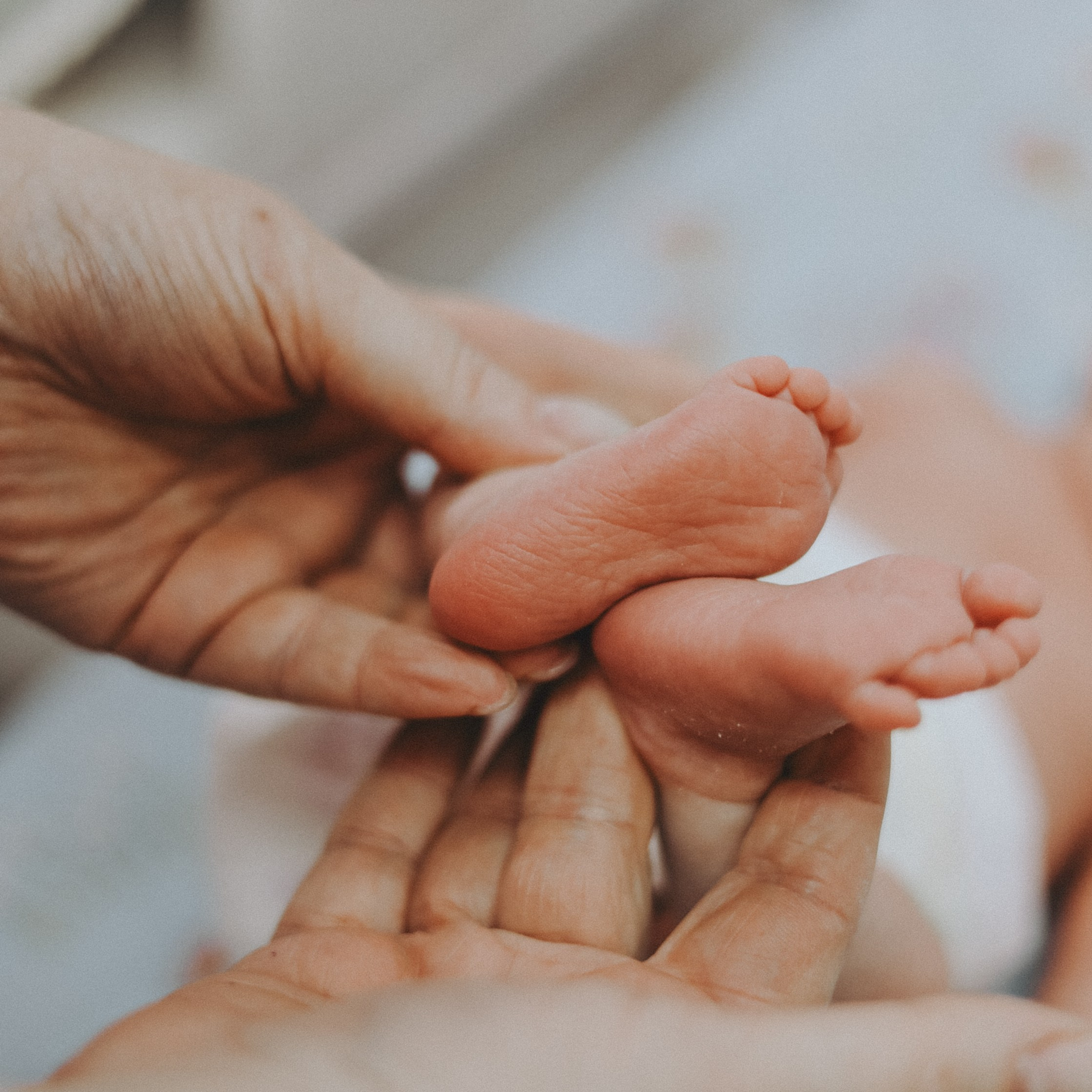 Выписка Оливии