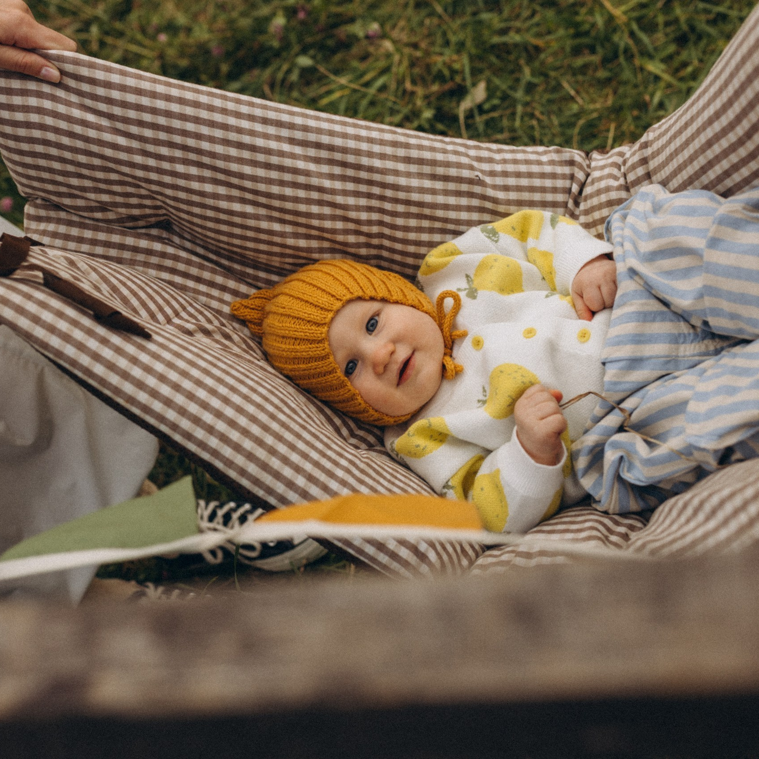 Лимончик 🍋в парке Коломенском. Www.kazakovaphoto.ru