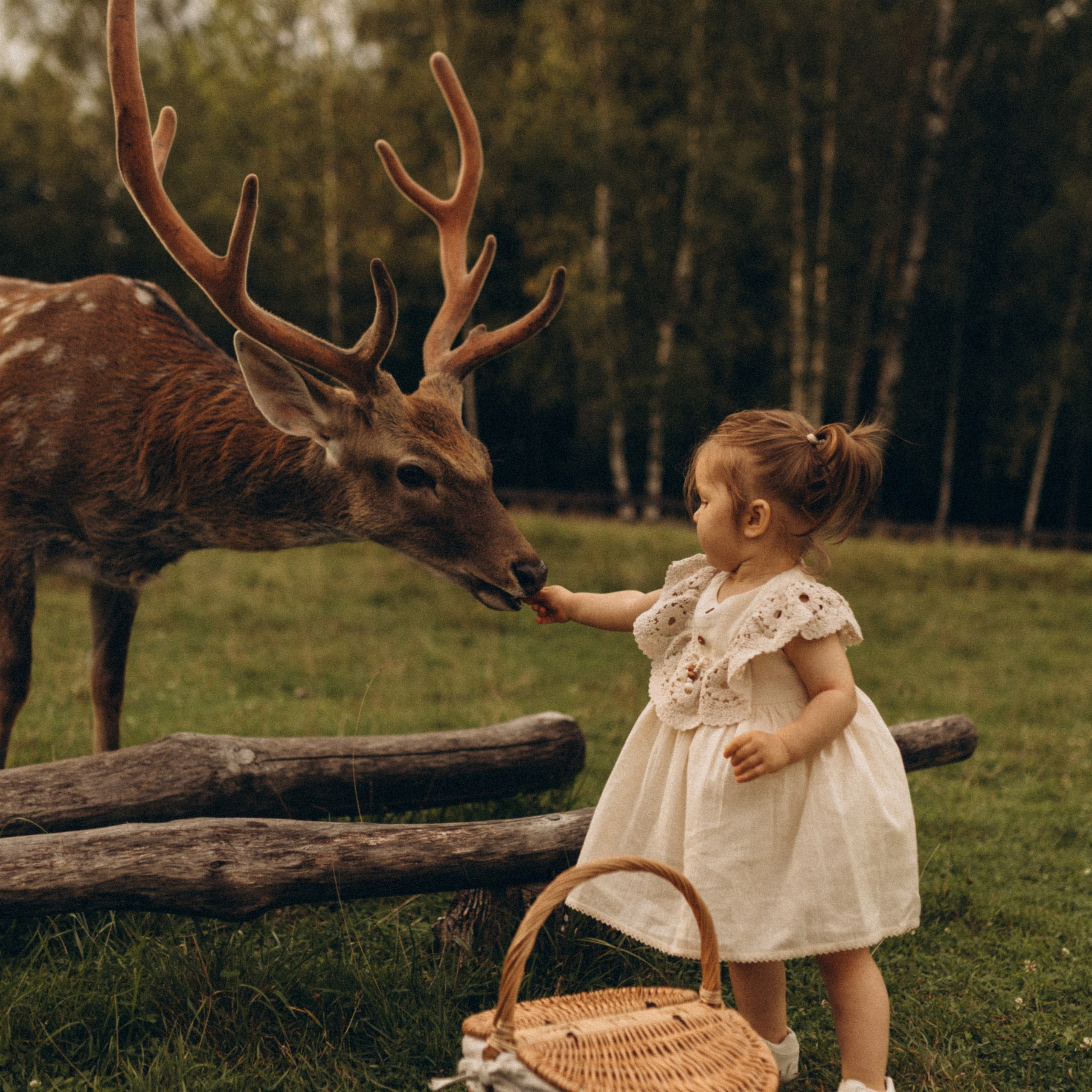 Знакомство с Бэмби. Www.kazakovaphoto.ru